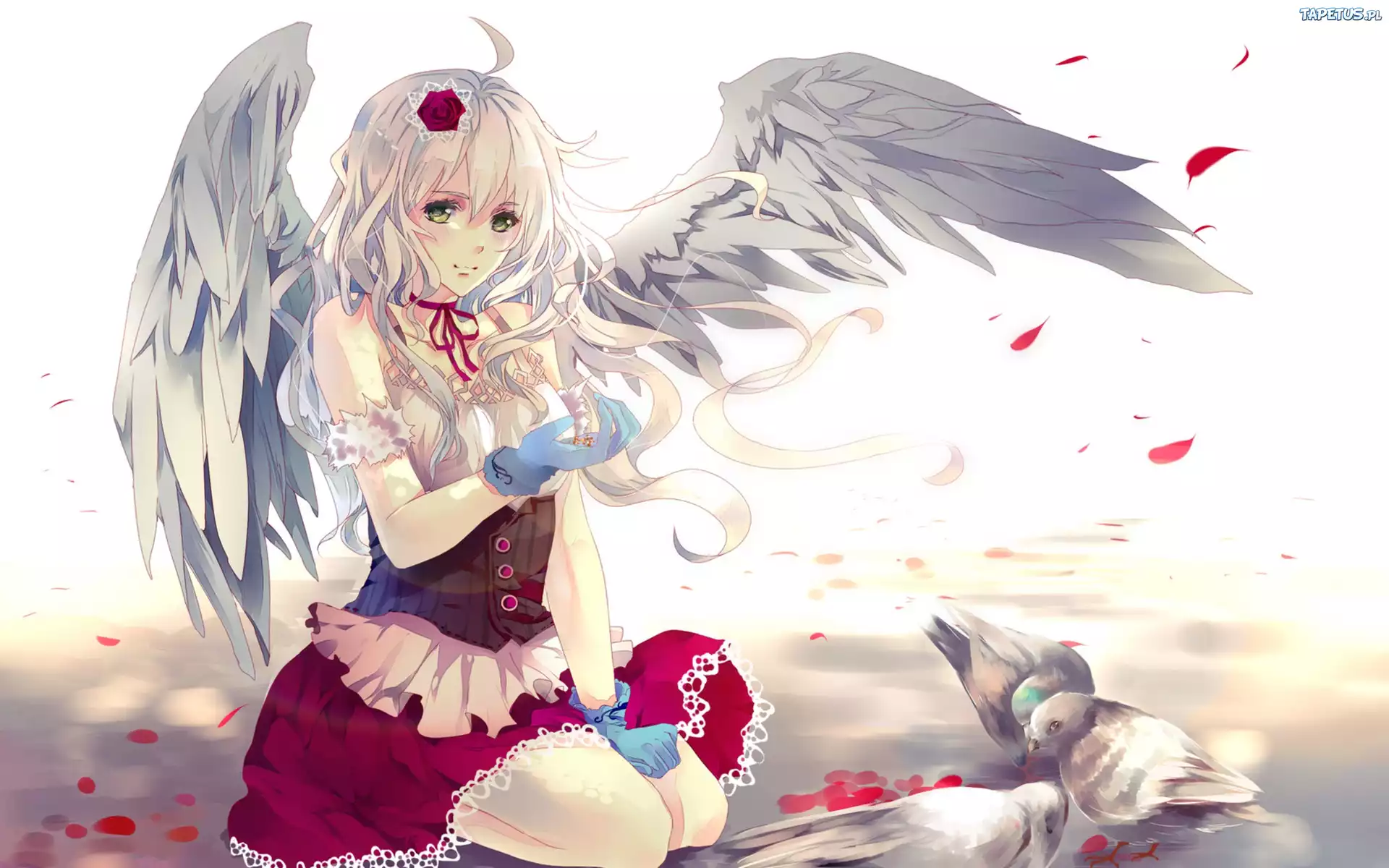 Dziewczyna, Anioł, Gołębie, Manga, Anime, Fantasy
