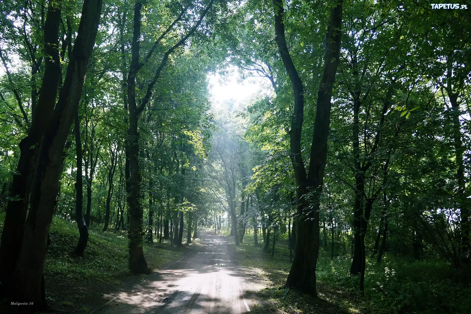 Uliczka, Park