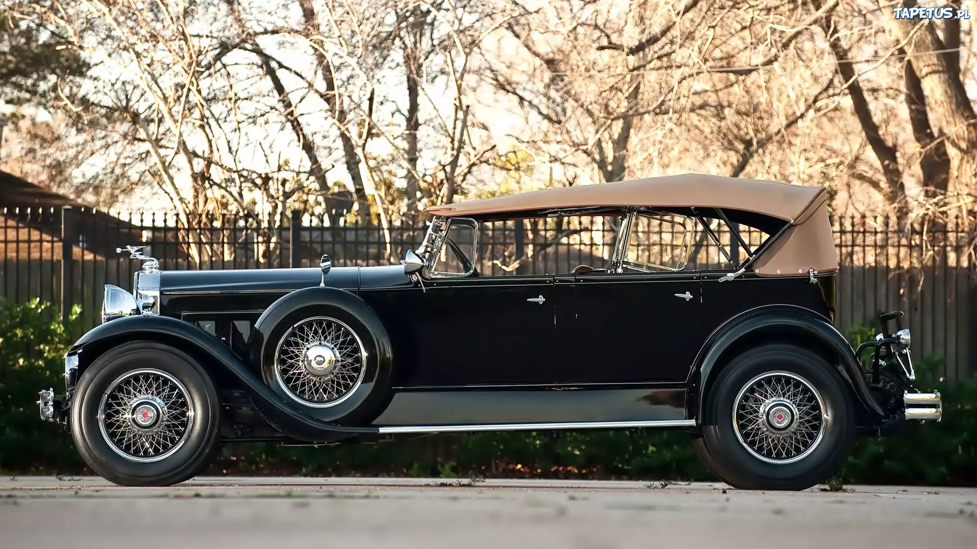 Samochód, Zabytkowy, Packard, Deluxe, 1930