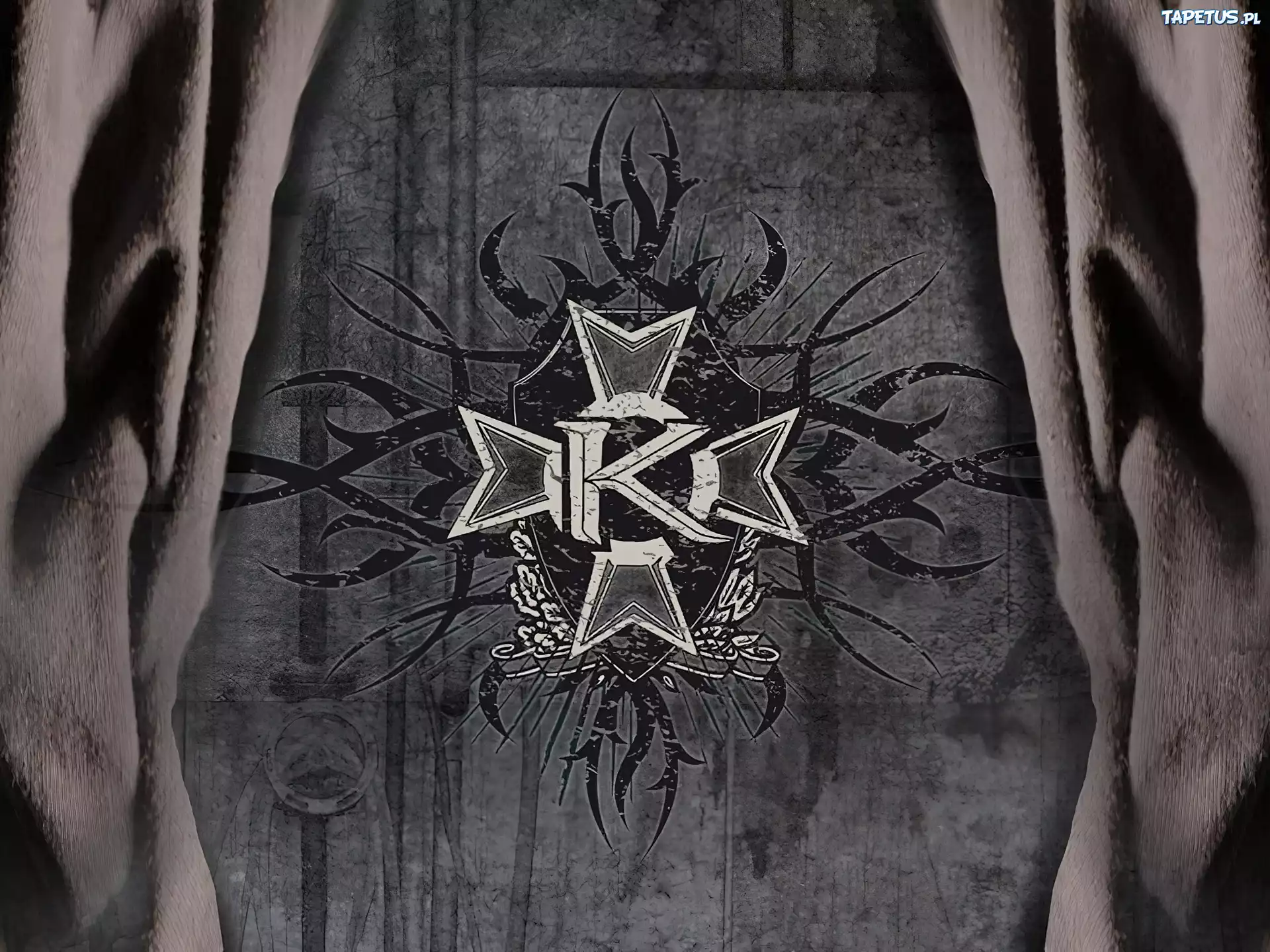 Kamelot,znaczek zespołu
