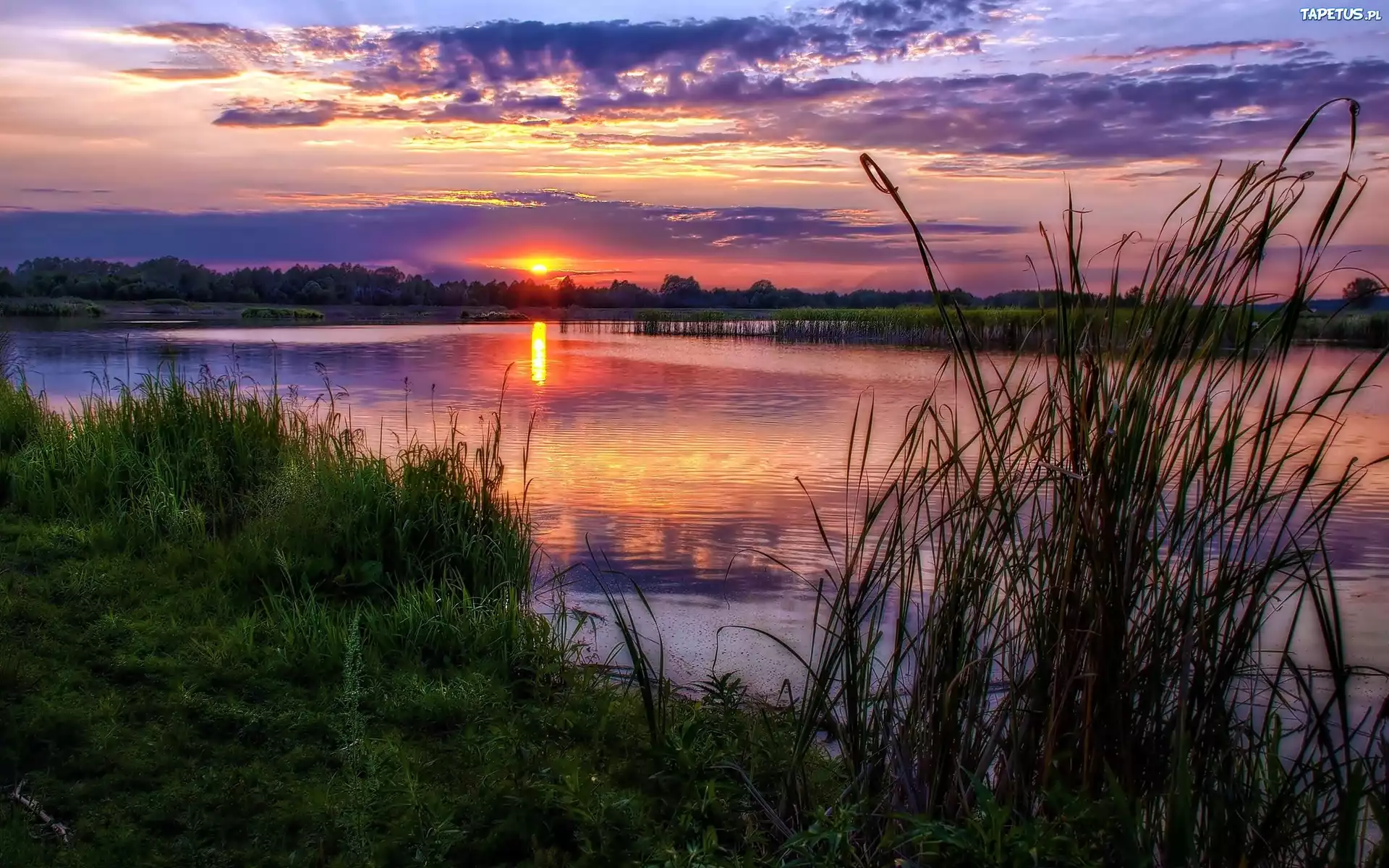Rzeka, Trawy, Ścieżka, Lasy, Zachód, Słońca