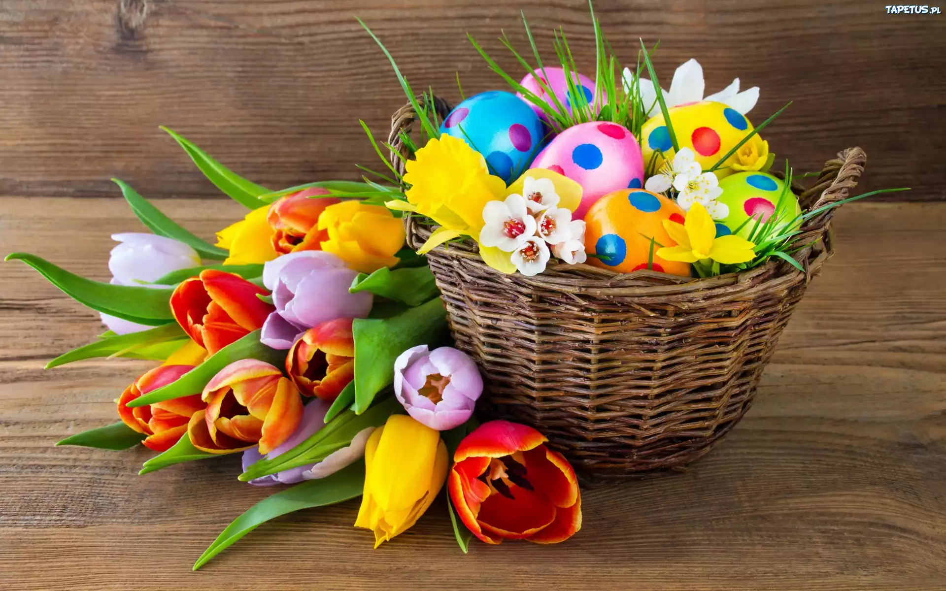 Koszyk, Kolorowe, Pisanki, Tulipany, Ławka, Wielkanoc