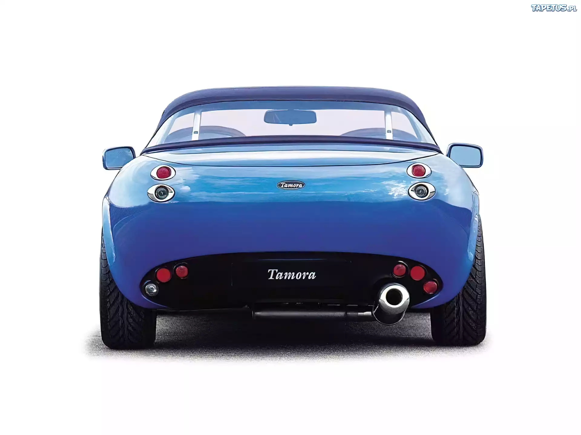 TVR, Tamora
