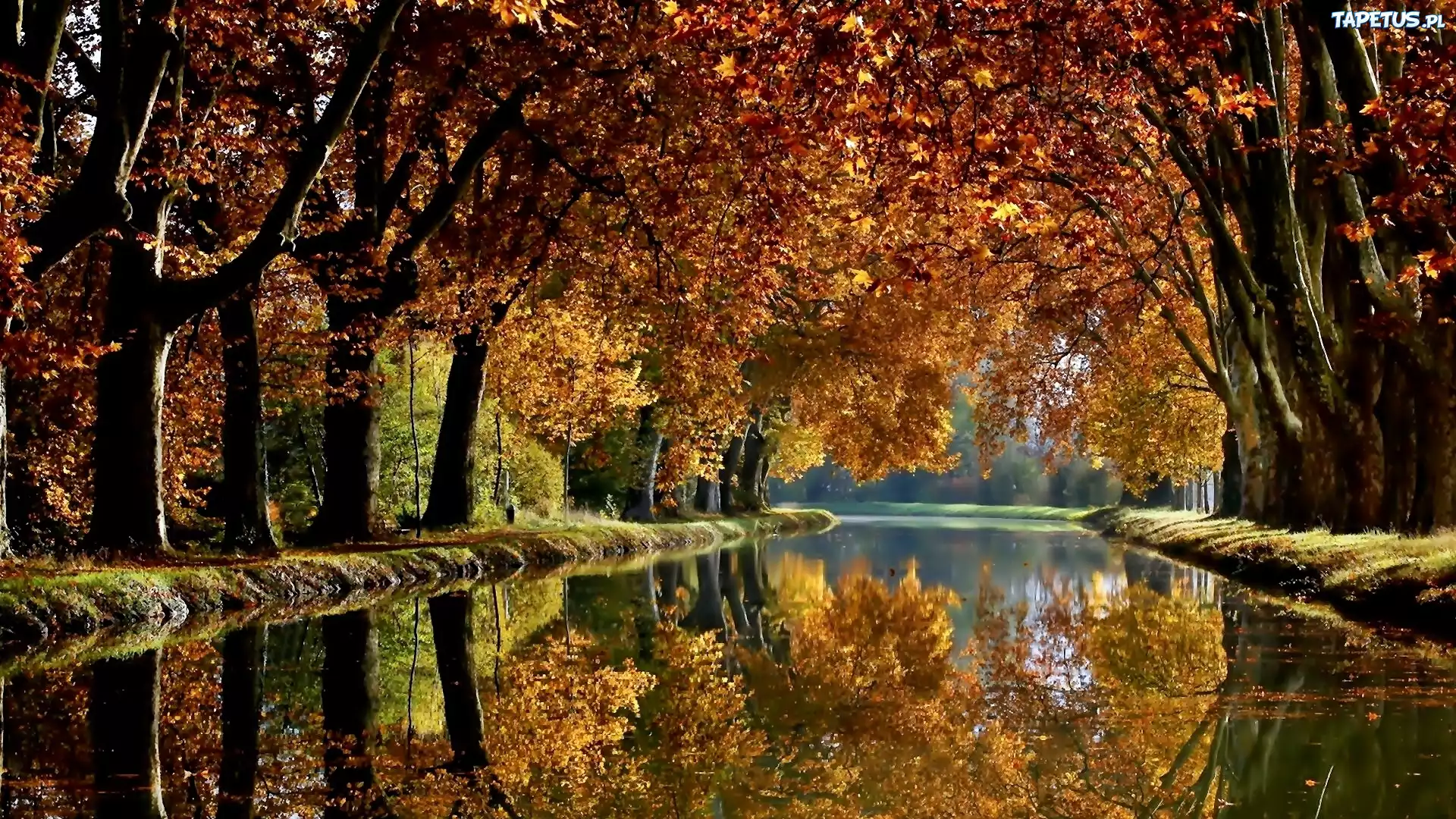 Jesień, Park, Rzeka