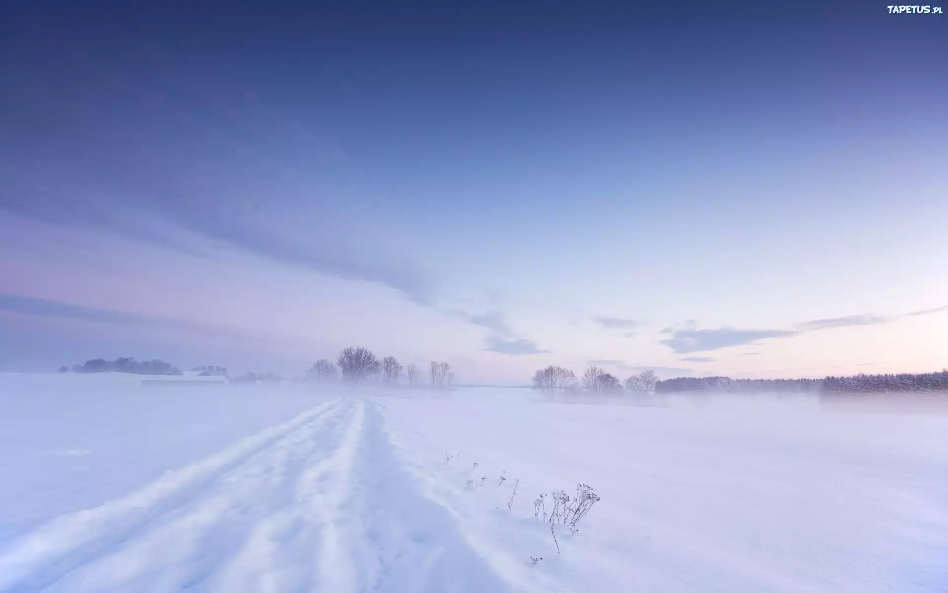 Zima, Śnieg
