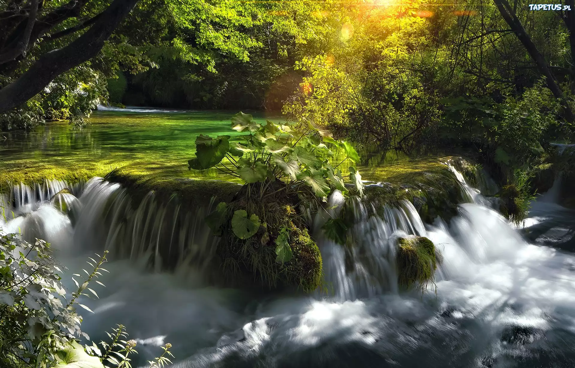 Park Narodowy Plitvice, Chorwacja, Rzeka, Wodospad