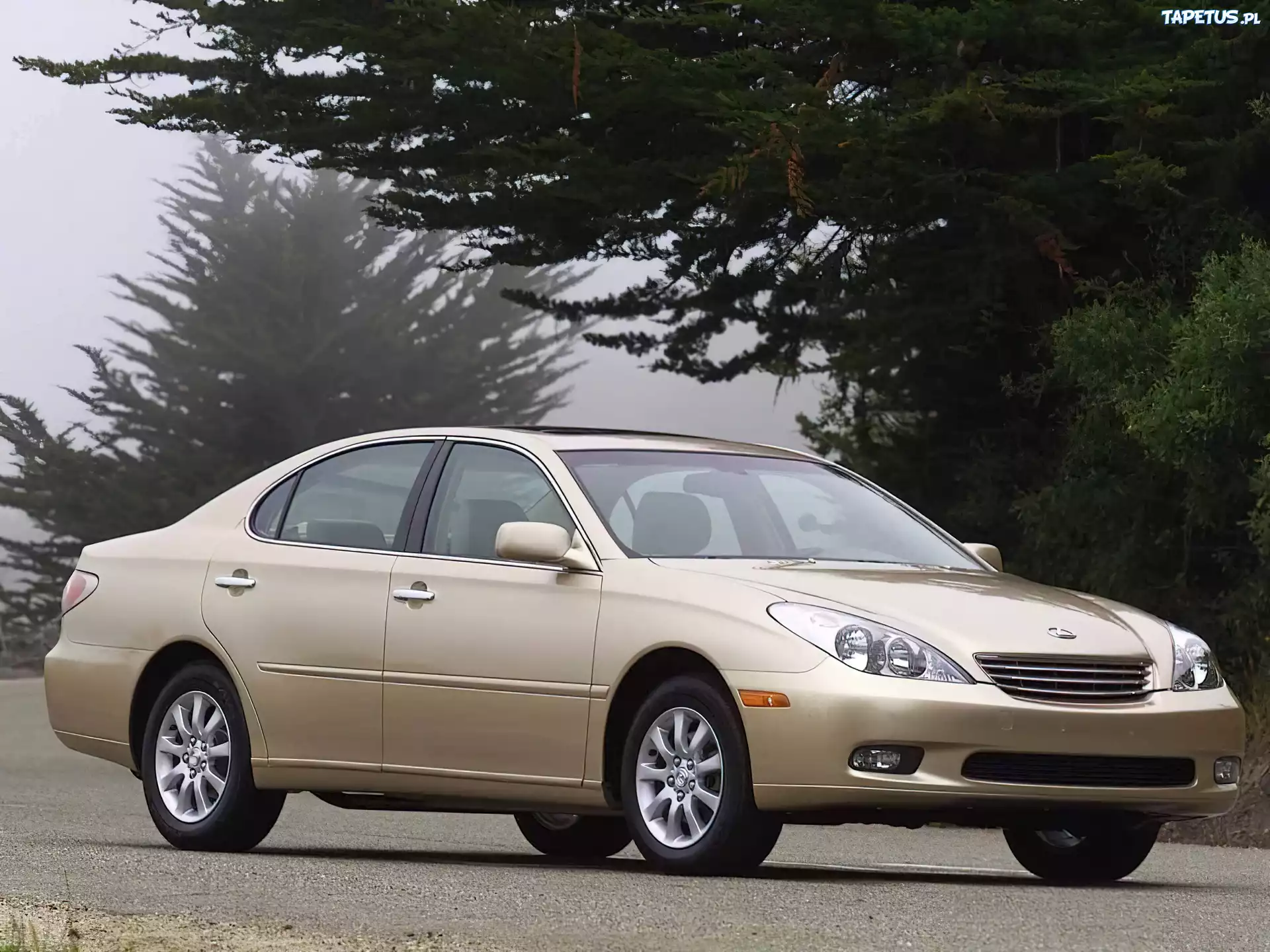 Lexus Seria ES