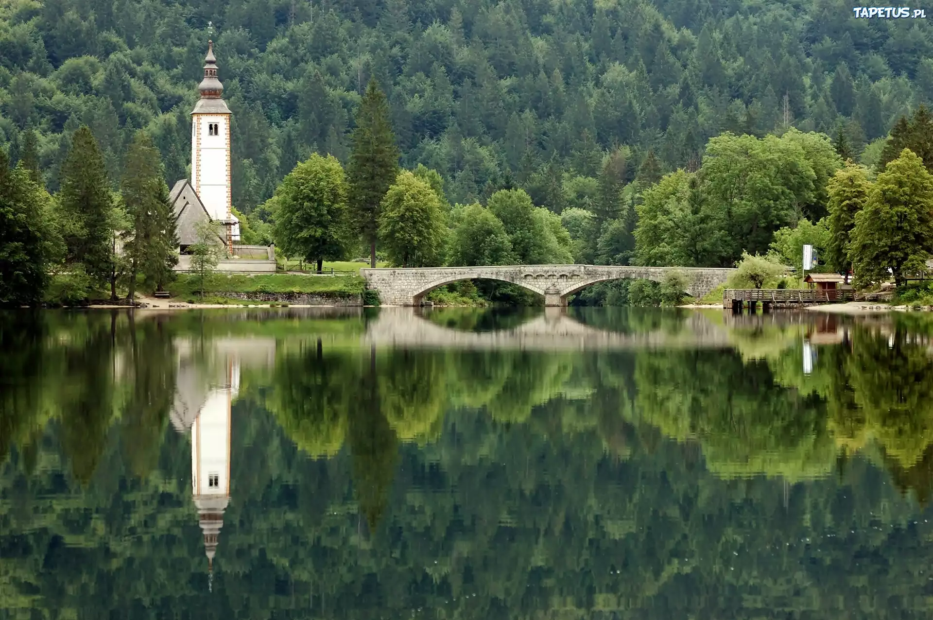 Las, Jezioro, Kościół, Most, Odbicie