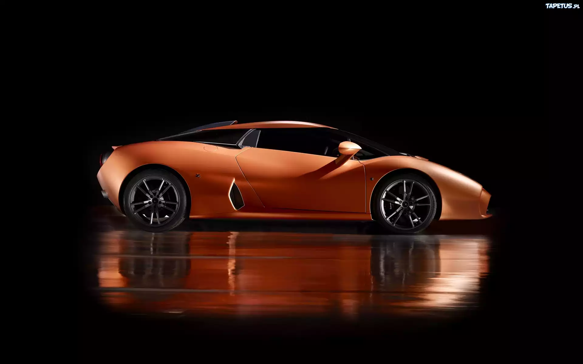 Lamborghini, 5 95, Zagato, Concept