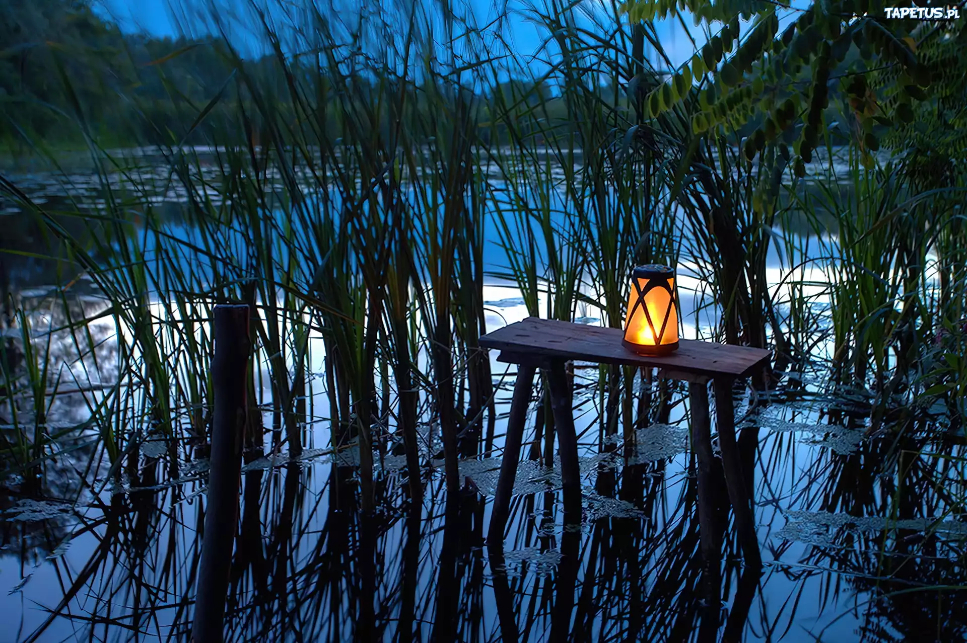Stolik, Lampion, Suche, Trawy, Odbicie, Staw