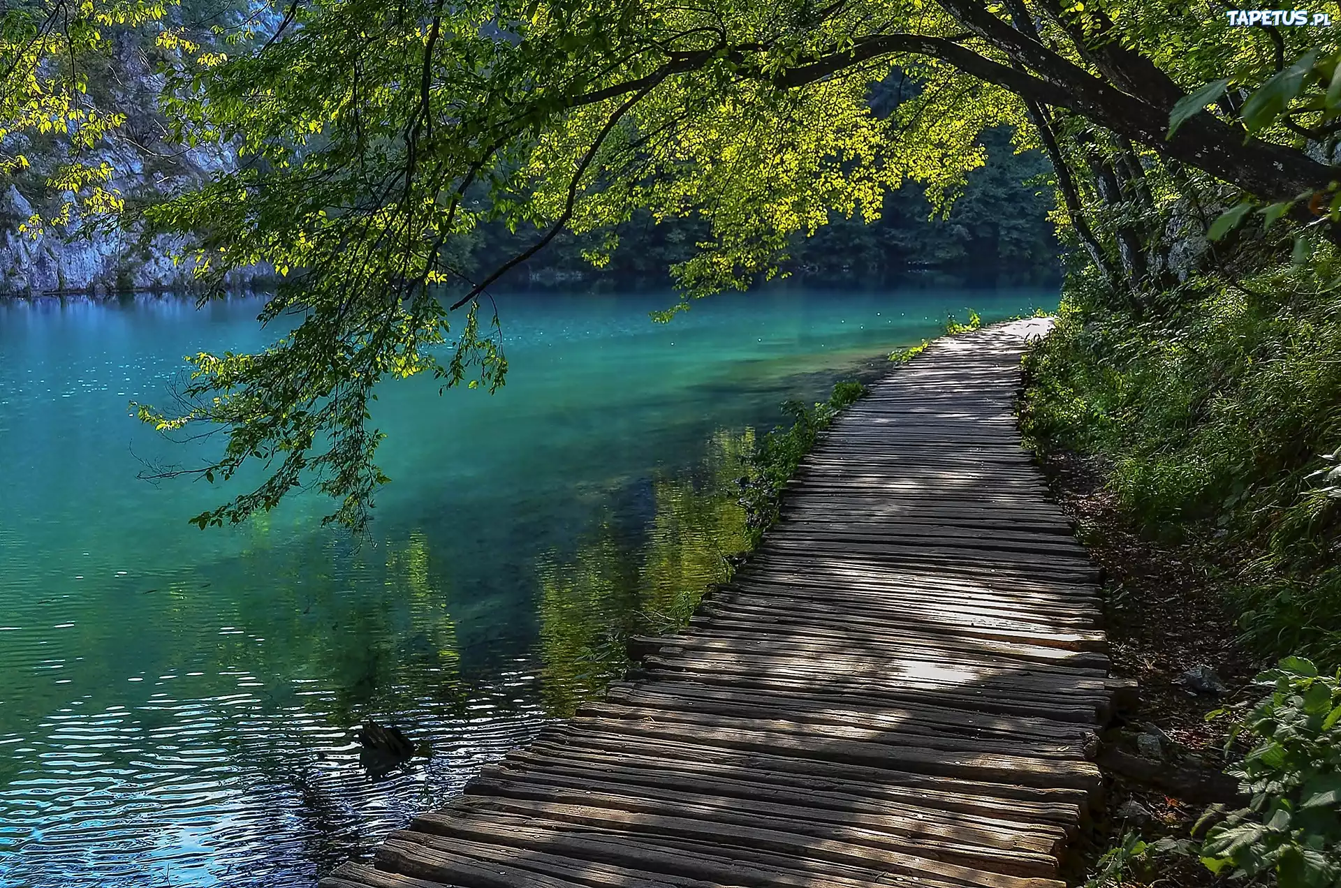 Jezioro, Bohinj, Pomost, Drzewa, Przebijające, Światło