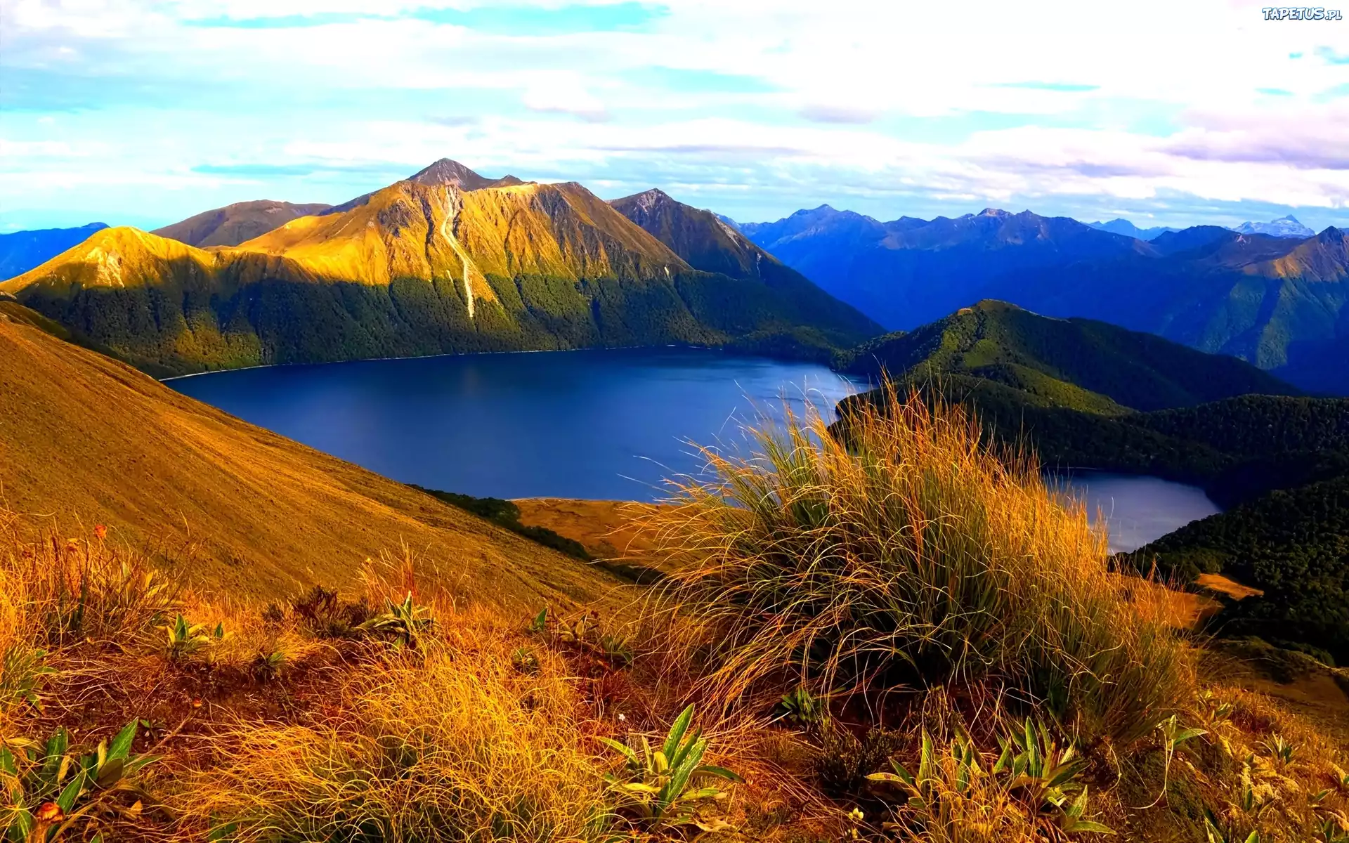 Park, Narodowy, Fiordland, Jezioro, Góry, Nowa Zelandia