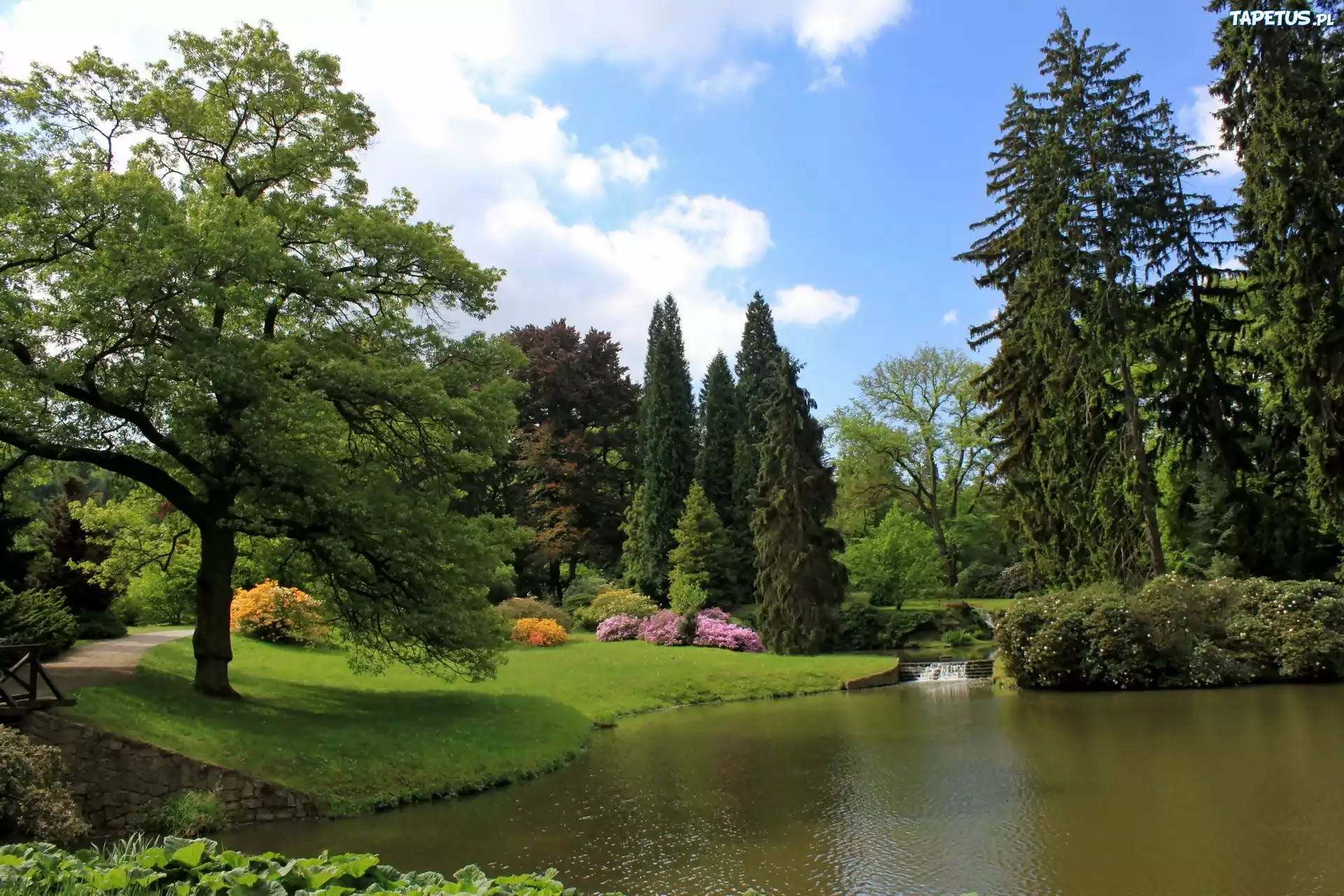 Pruhonice, Park, Staw, Przebijające, Światło