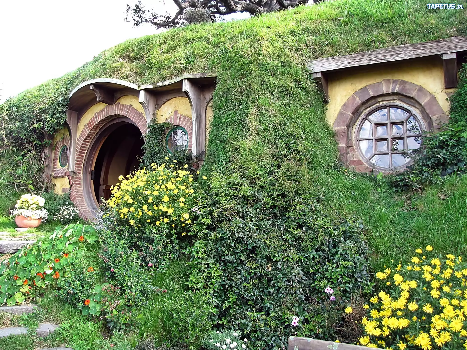 Dom, Hobbita, Ogródek