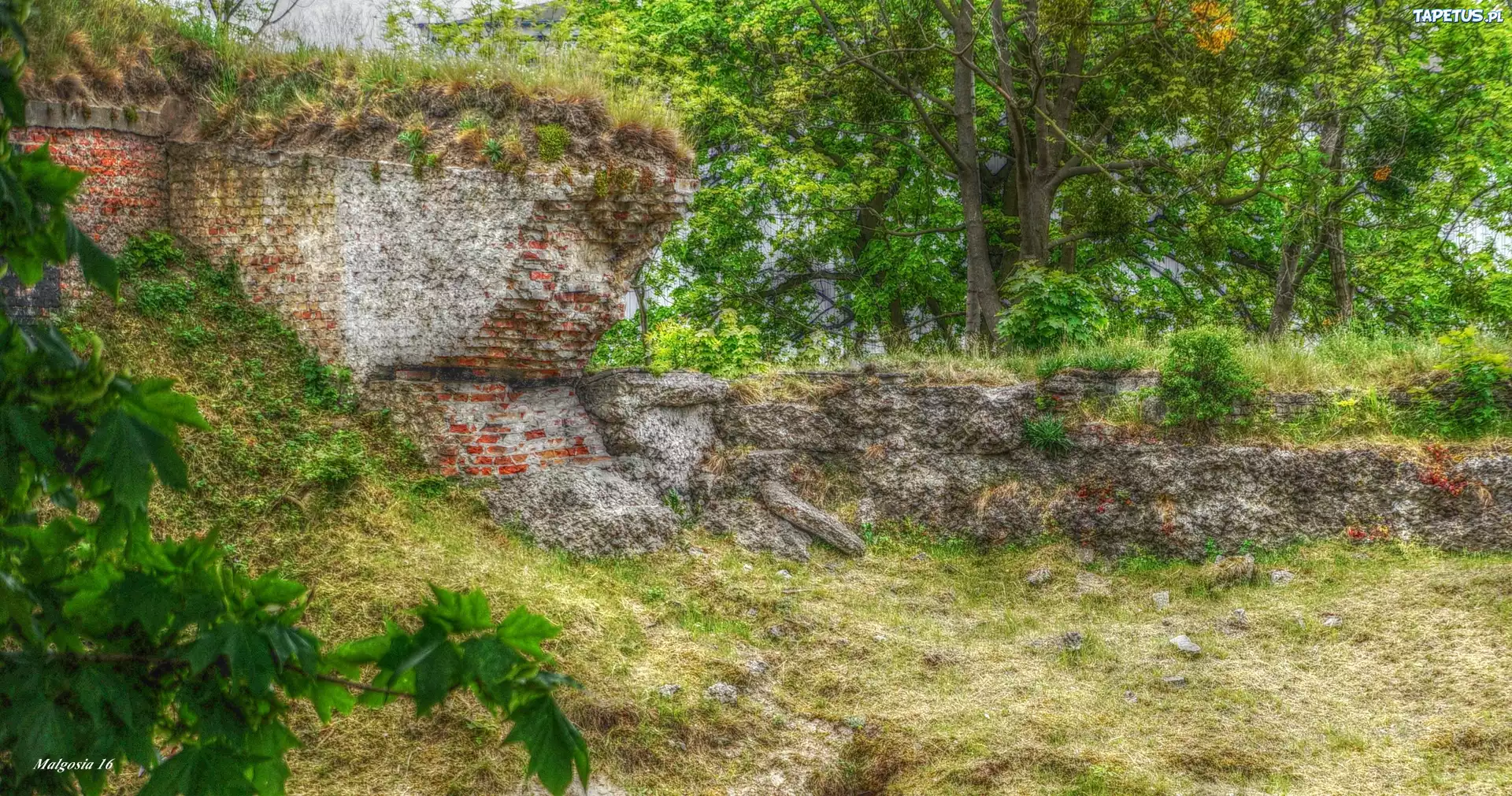 Stary, Mur, Cegły, Ruiny, Zieleń, HDR