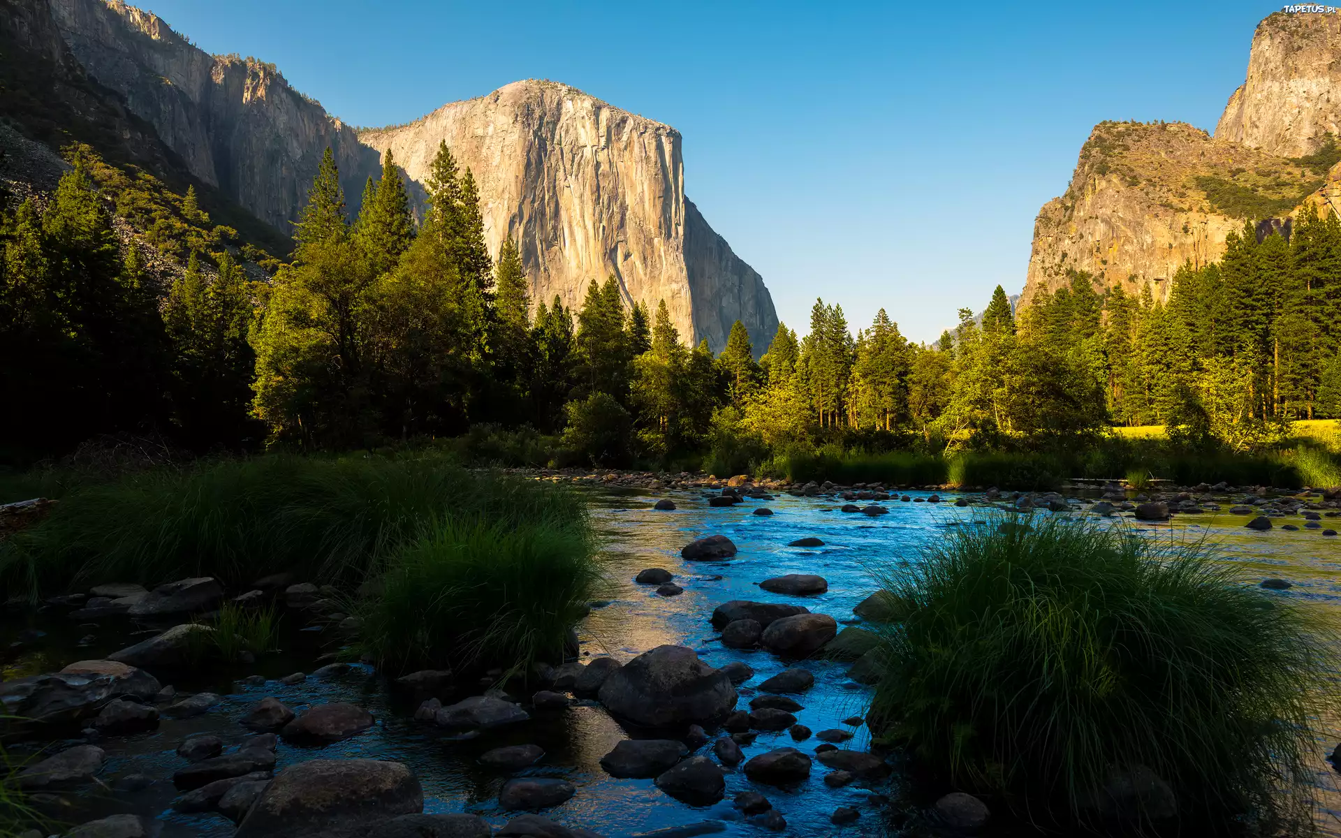 Park Narodowy Yosemite, Góry Sierra Nevada, Las, Dolina, Rzeki