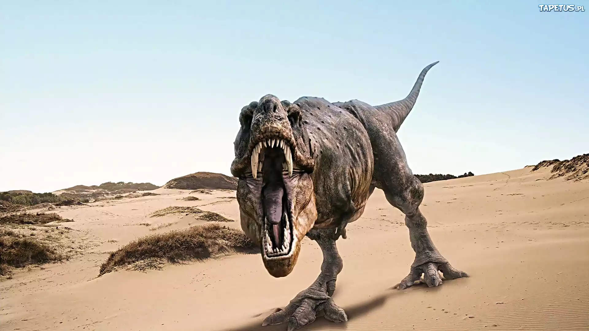 Dinozaur, Ti-Rex