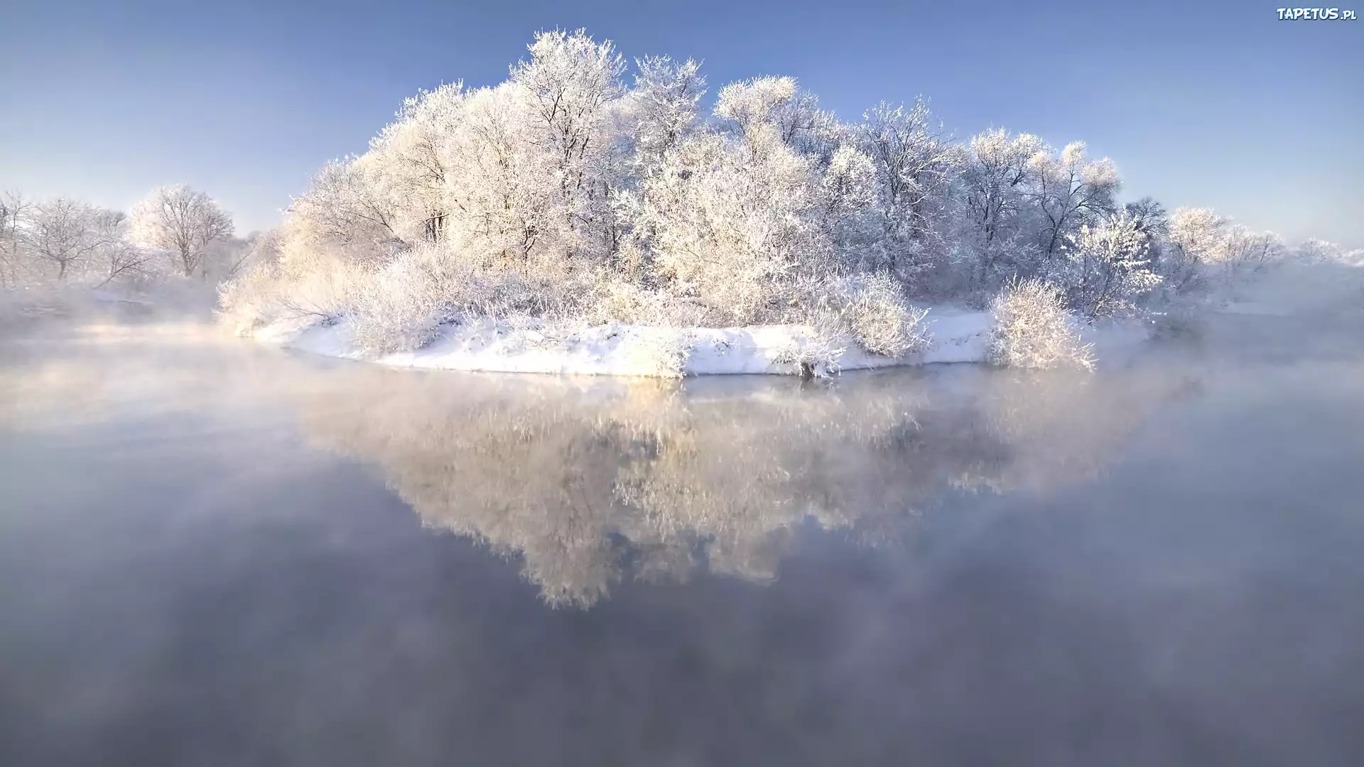 Zima, Jezioro, Mgła, Ośnieżone, Drzewa, Krzewy