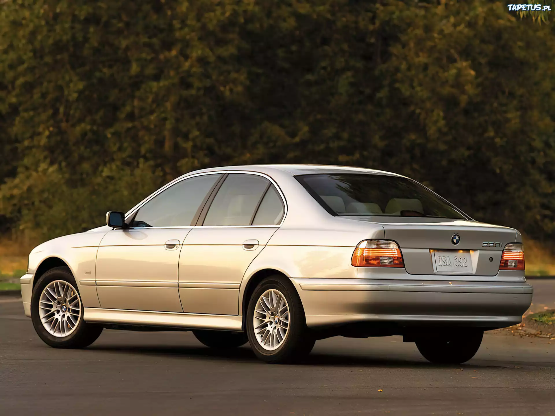 Srebrne, BMW 5, 530i