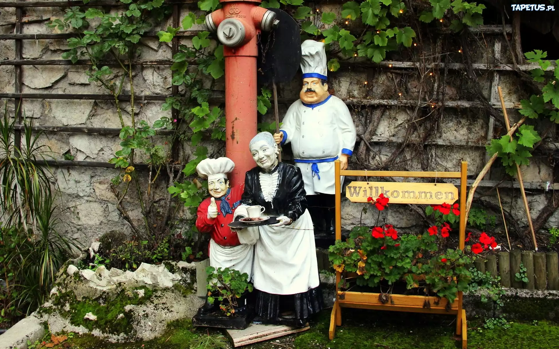 Figury, Kucharz, Gospodyni, Kwiaty, Pelargonie, Ogródek