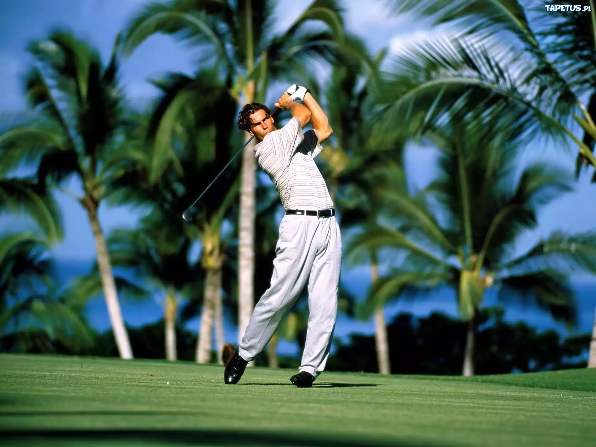Sportowe Golf,kij golfowy