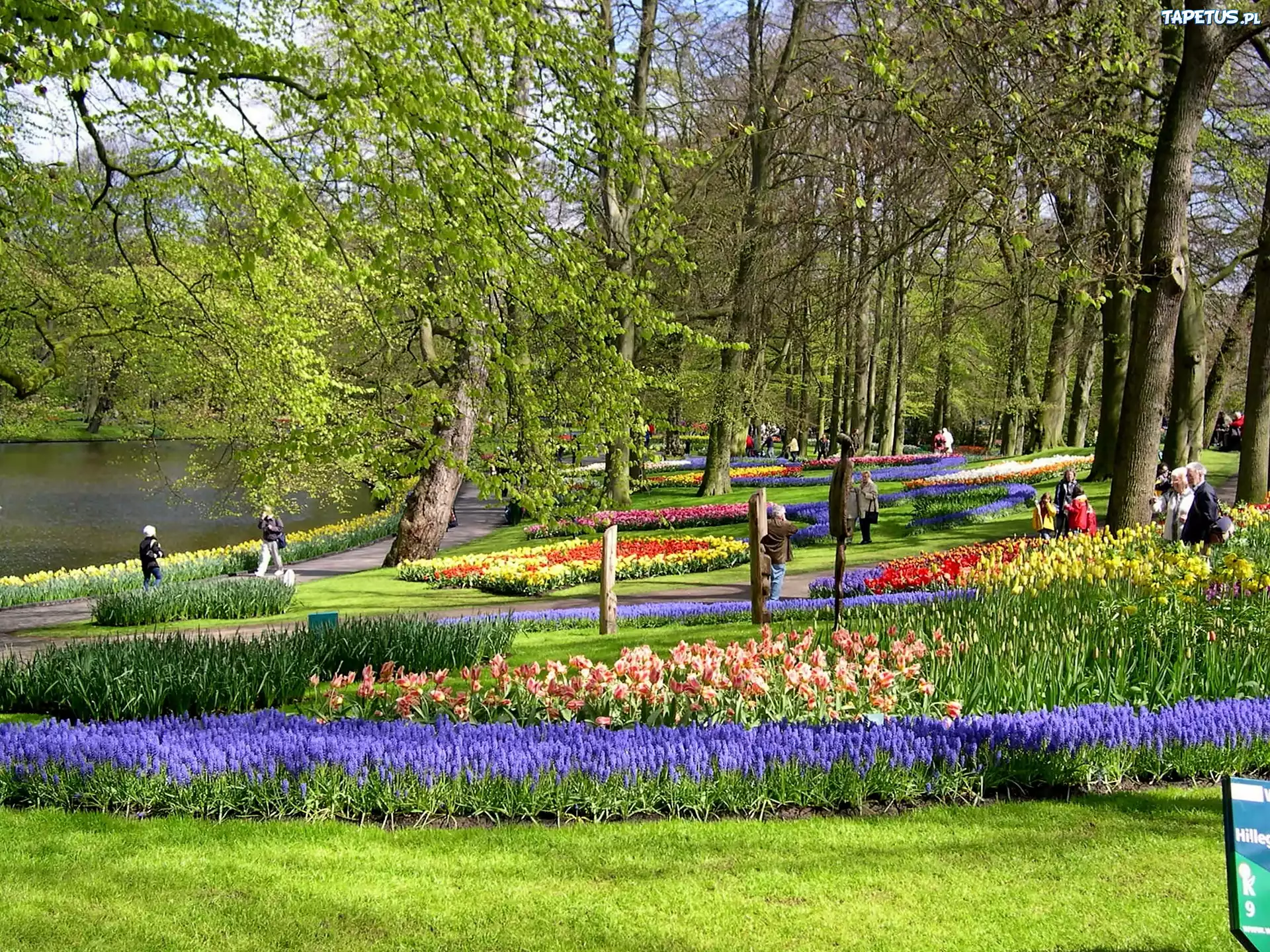 Park, Gazony, Kwiatowe, Spacerowicze
