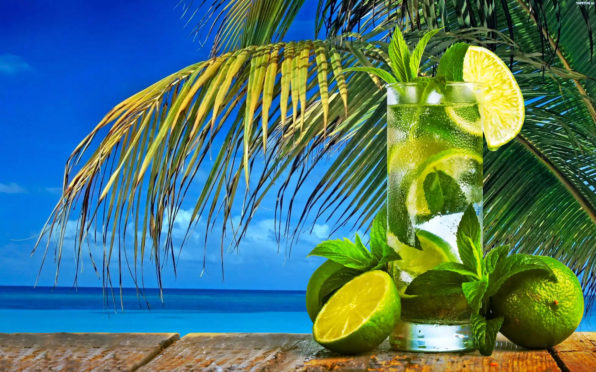 Drink Mojito, Palma, Ocean, Tropiki