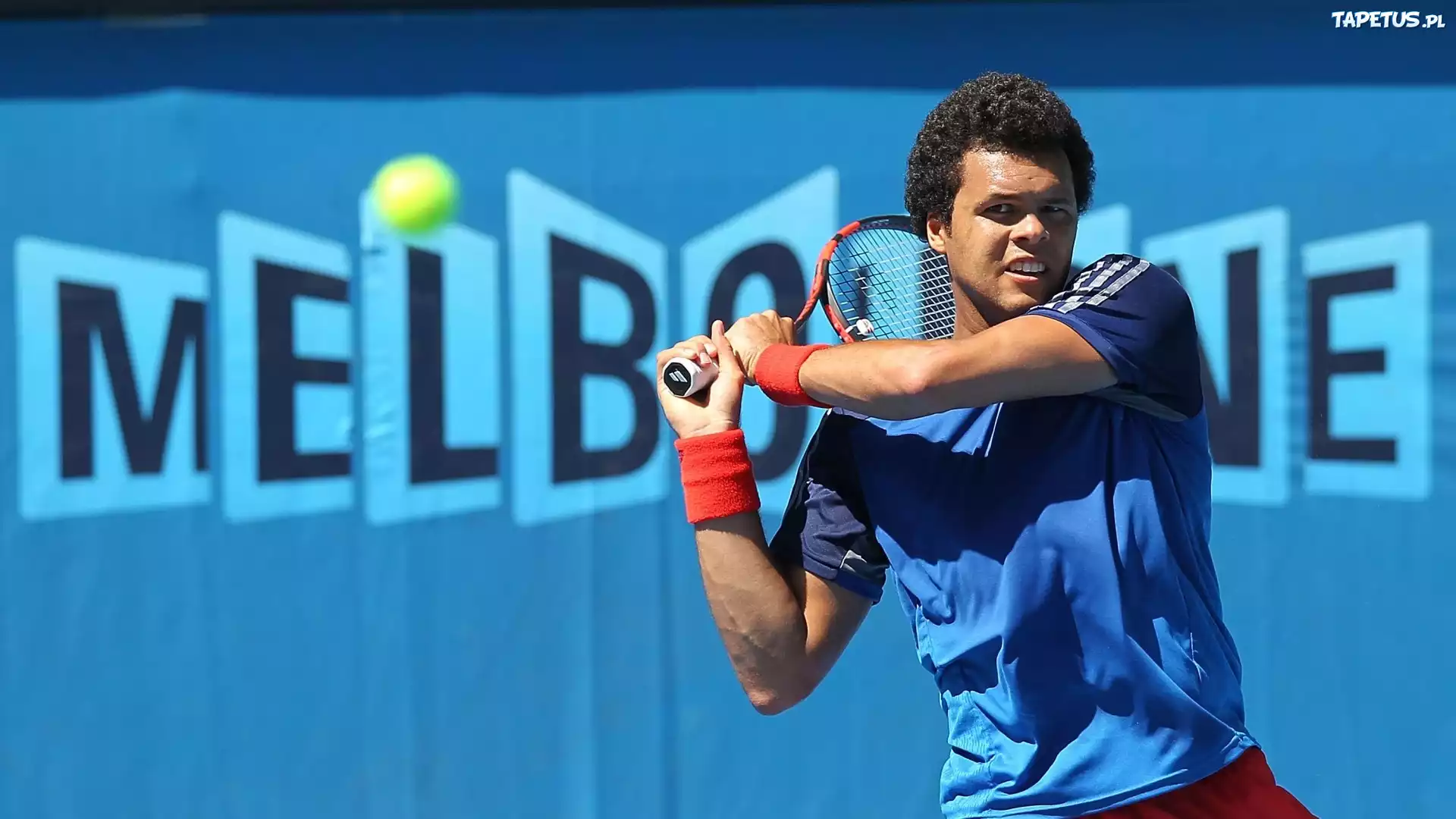 Tenisista, Jo Wilfried Tsonga, Francuz