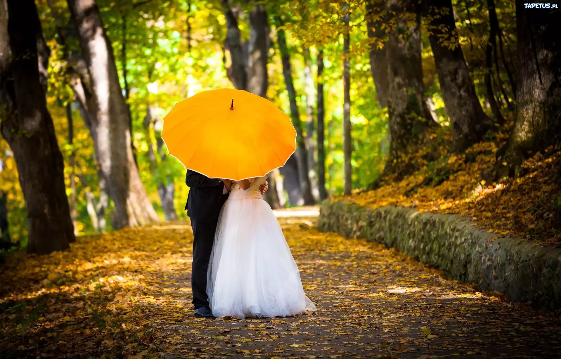 Młoda, Para, Parasol, Park, Jesień