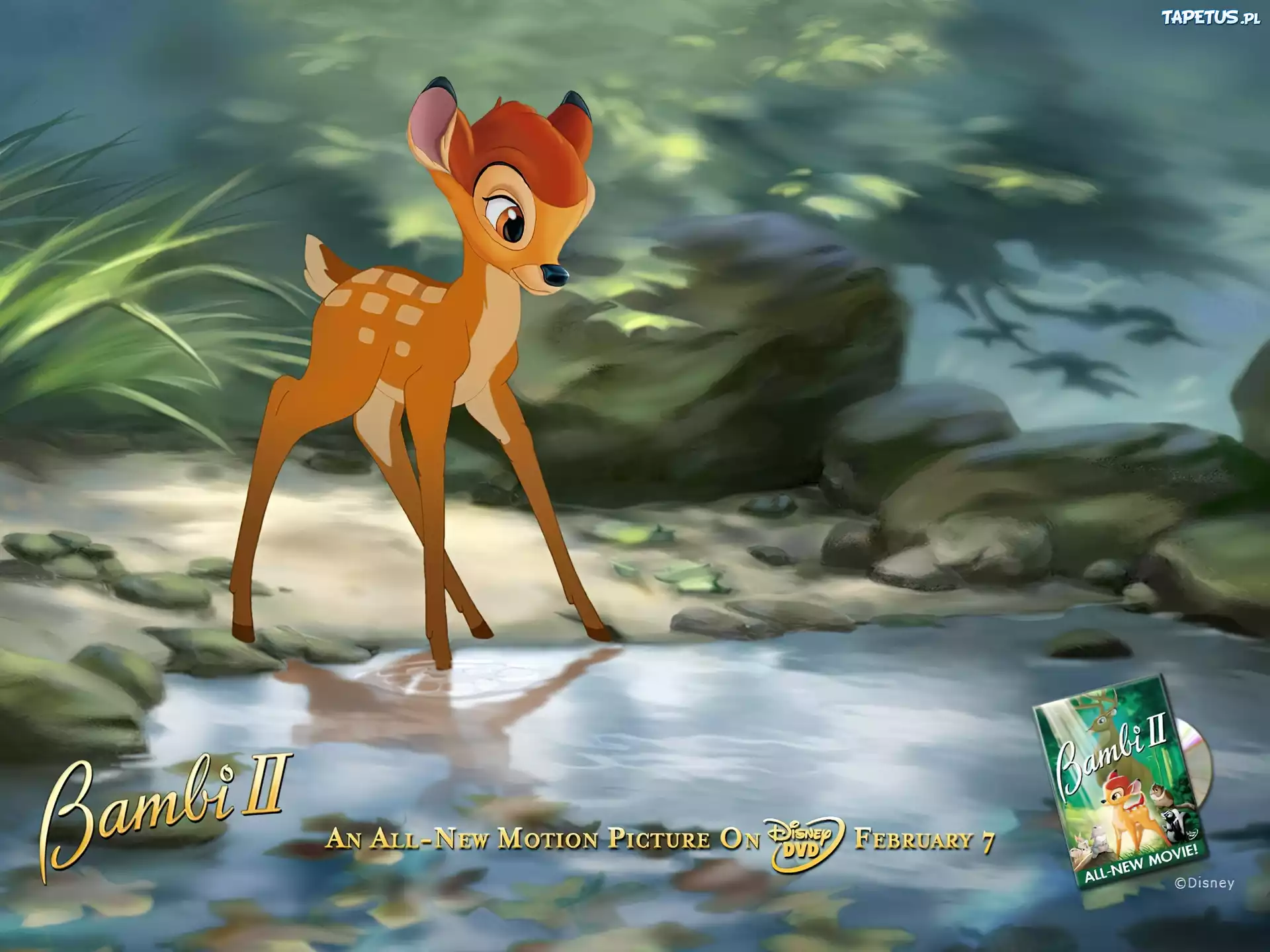 Bambi 2, jelonek