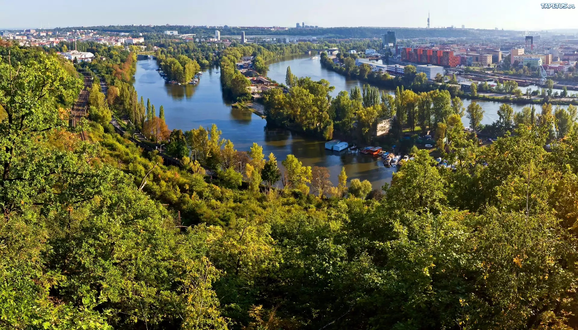 Miasto, Rzeka, Drzewa, Panorama