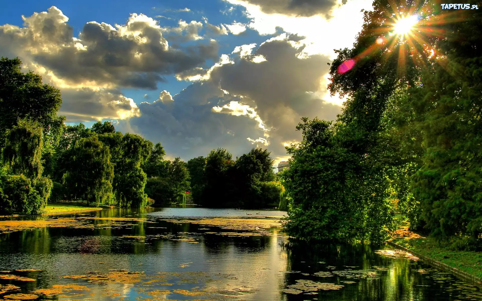 Rzeka, Park, Drzewa, Promienie, Słońca, Chmury