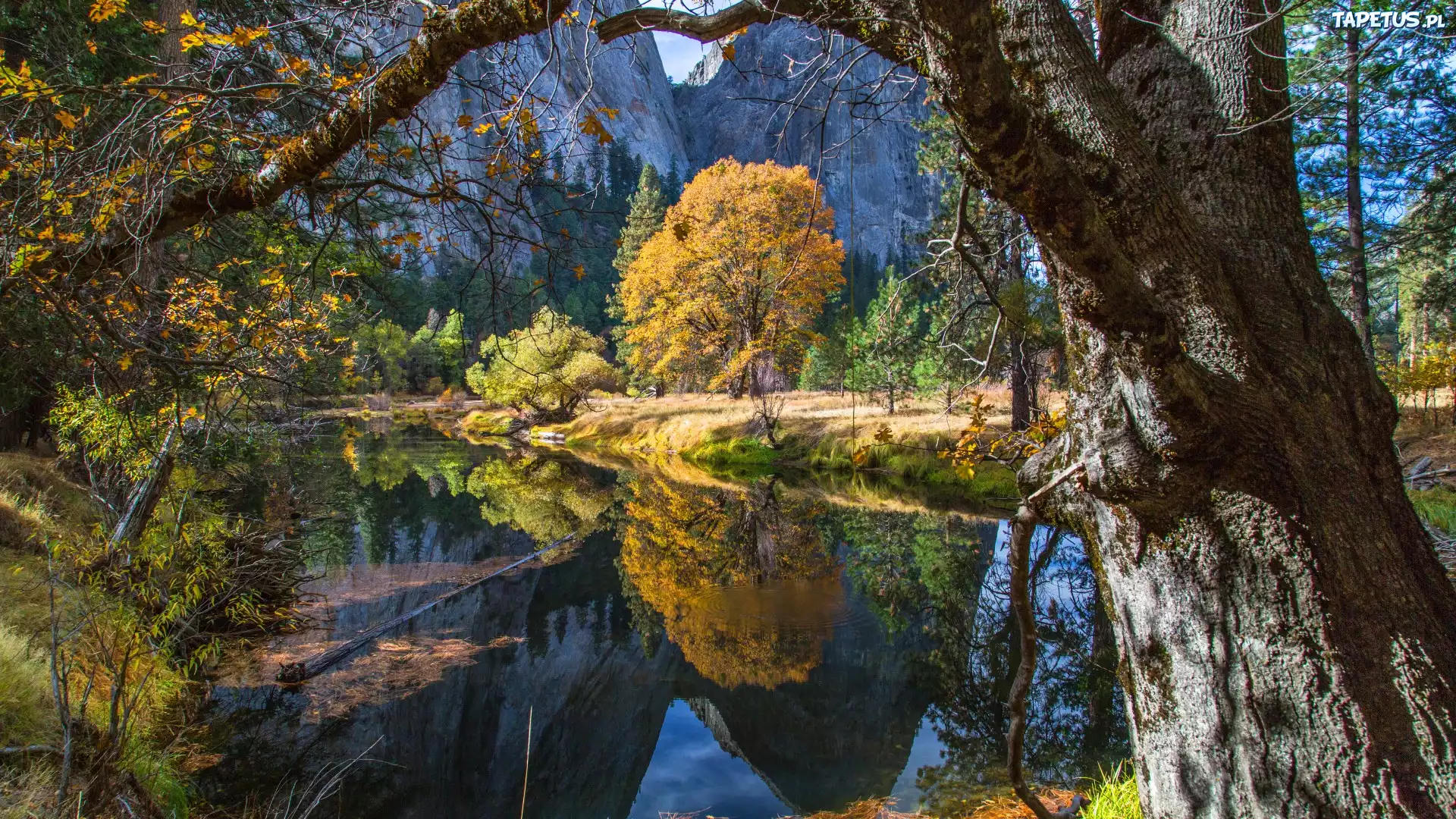 Góry, Rzeka, Jesień, Park Narodowy Yosemite, USA