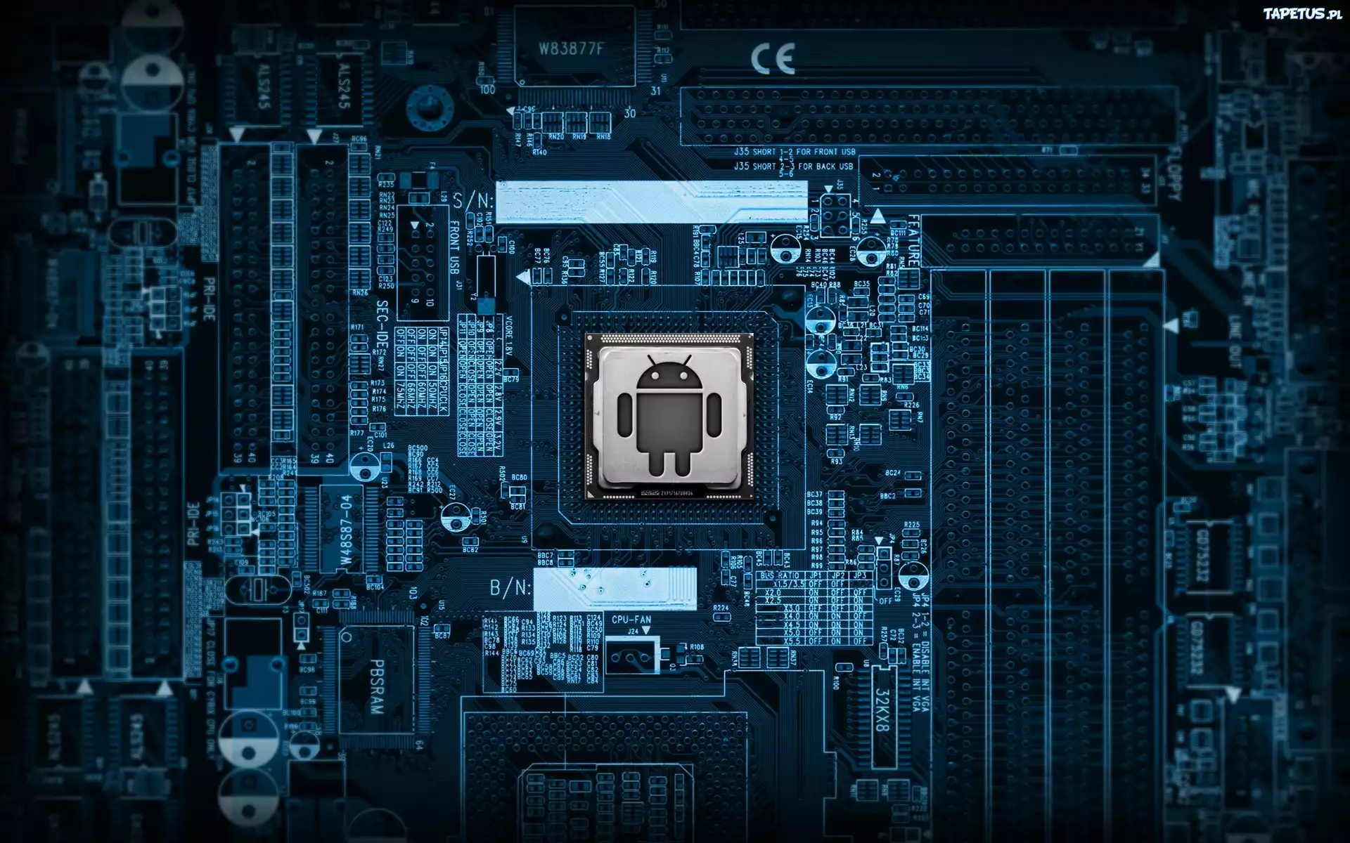 Android, Płyta główna