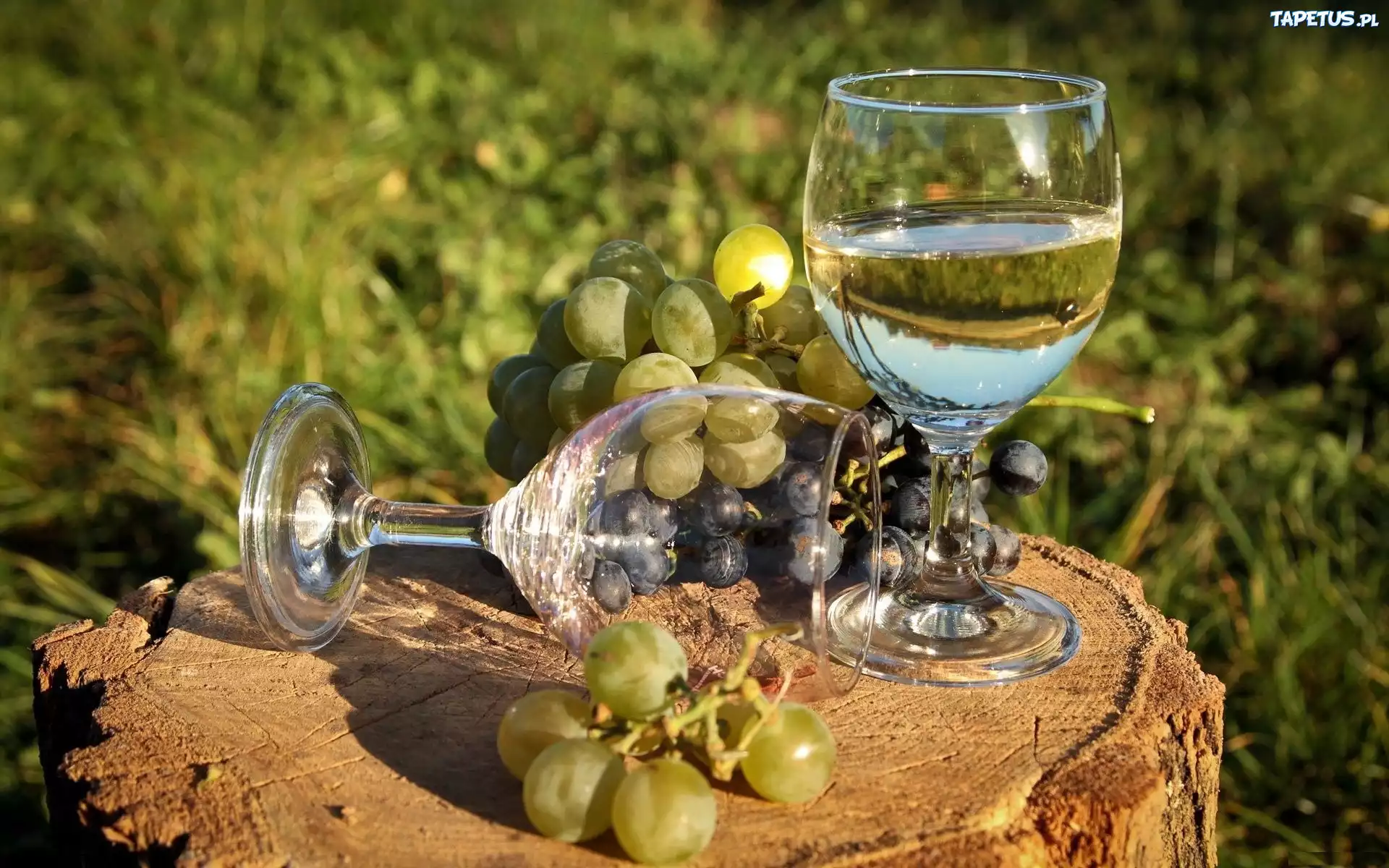 Białe, Wino, Kieliszki, Pień, Winogrono
