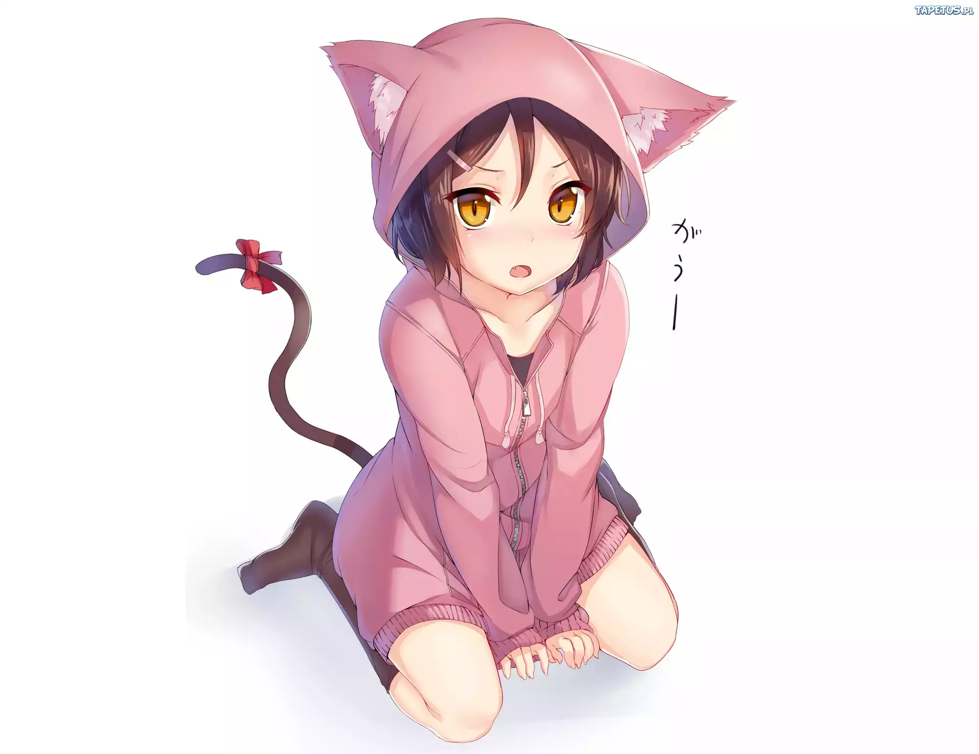 Dziewczyna, Bluza, Kotek, Anime