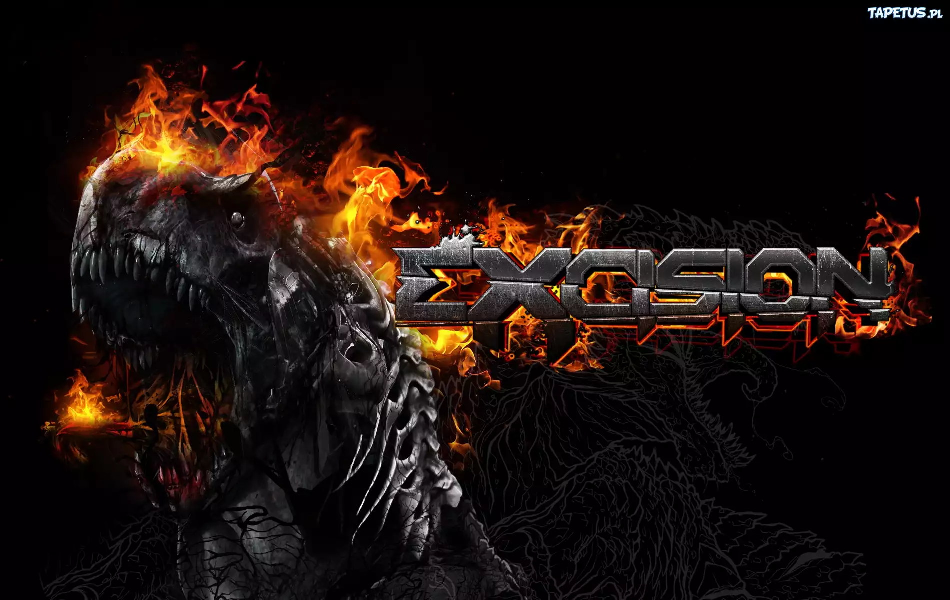 Excision
