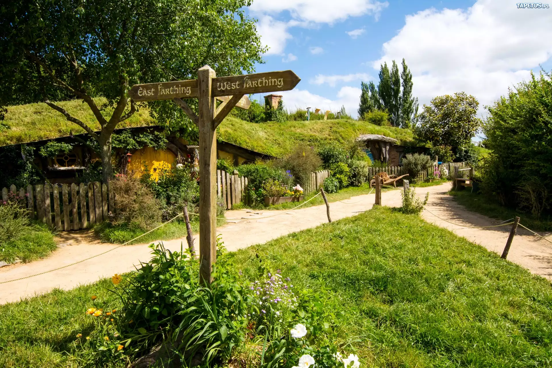 Park, Matamata Hobbiton, Nowa Zelandia