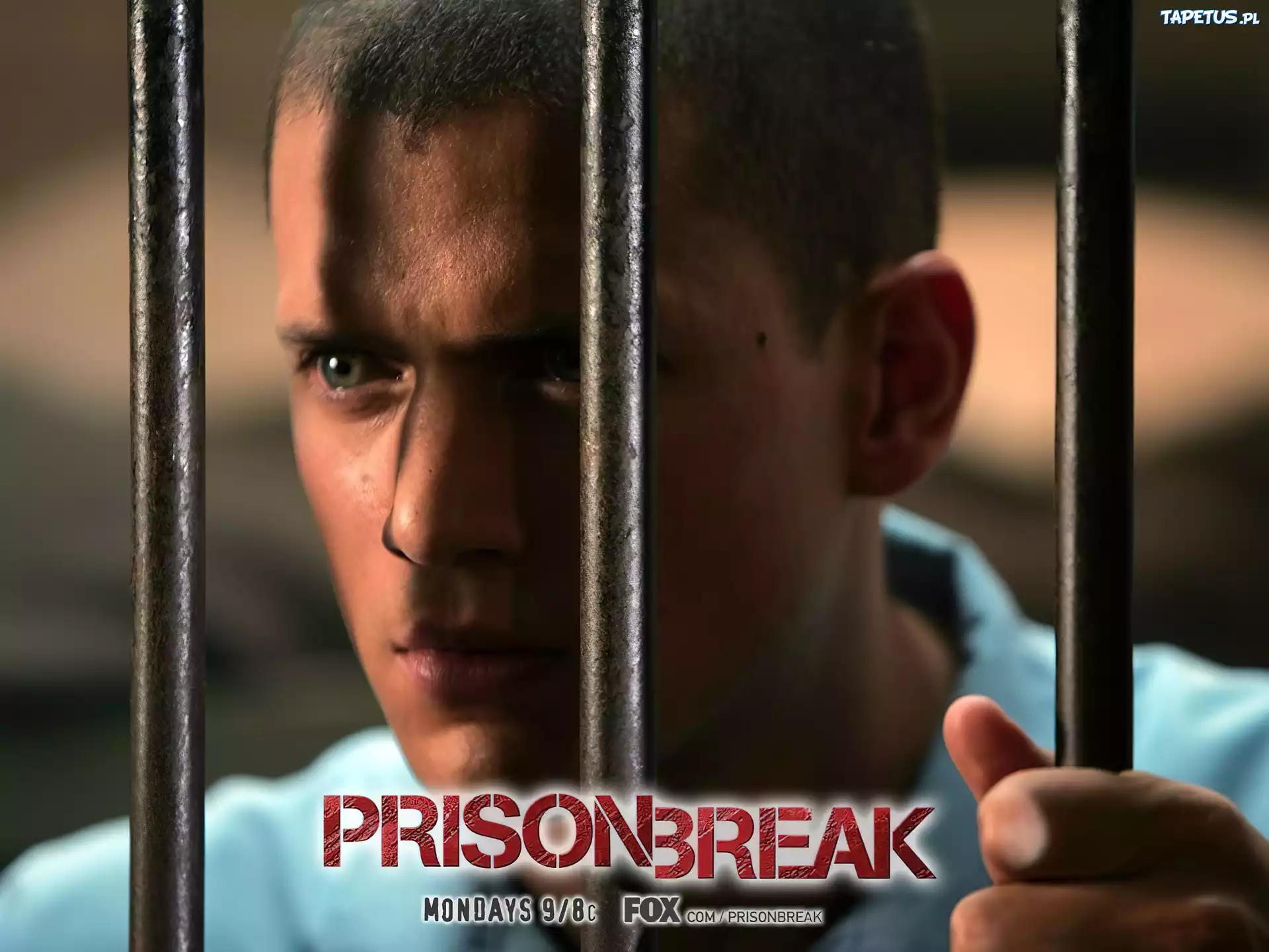 Prison Break, Skazany na śmierć, Wentworth Miller, kraty