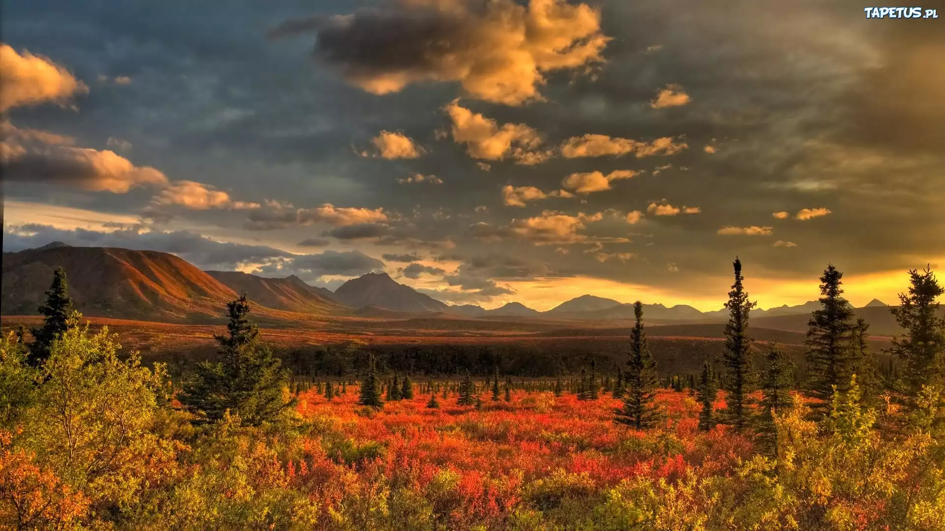 Alaskan Sunrise, Denali National Park скачать