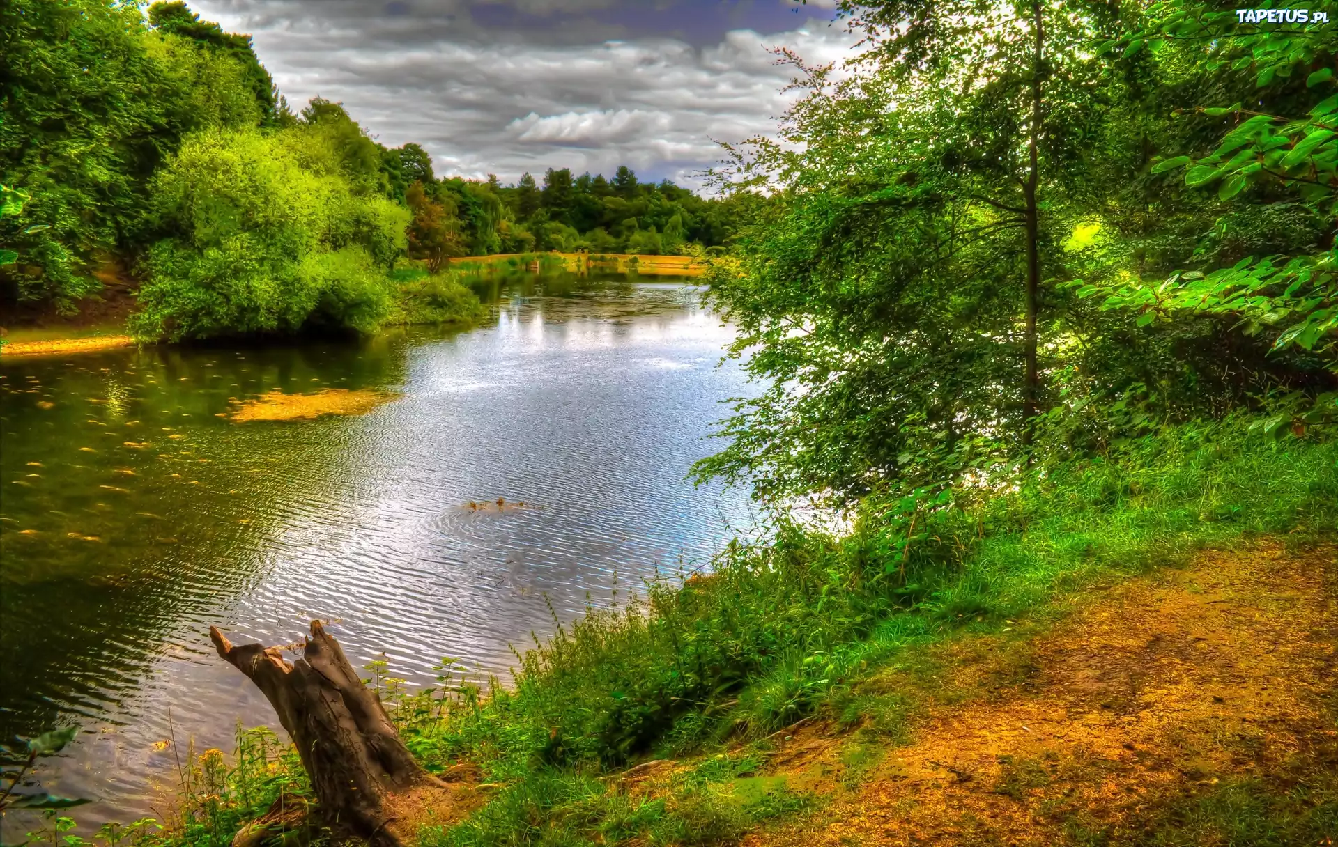 Jezioro, Park, Nostell, Anglia