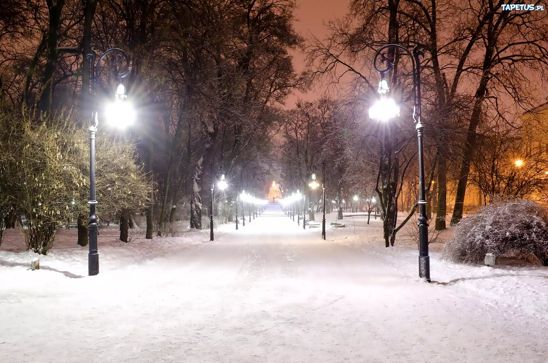Park, Śnieg, Latarnie