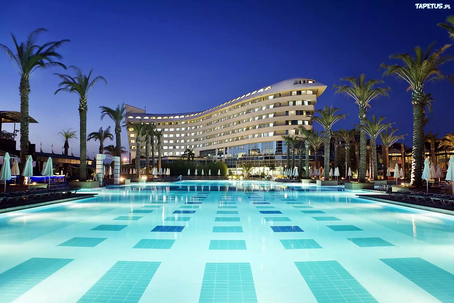 Hotel, Basen, Antalya, Palmy