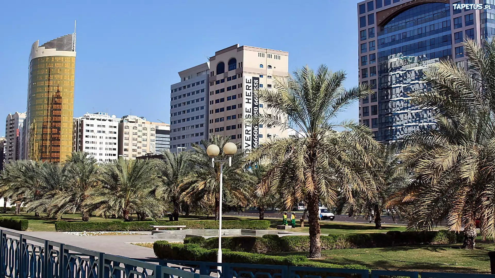 Drapacze, Chmur, Skwer, Palmy, Fragment, Miasta, Abu Dhabi