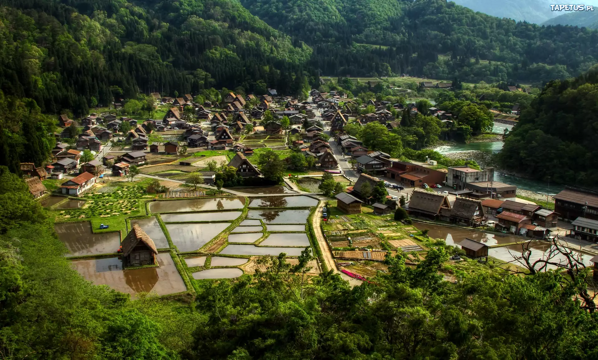 Wieś, Ogimachi, Japonia