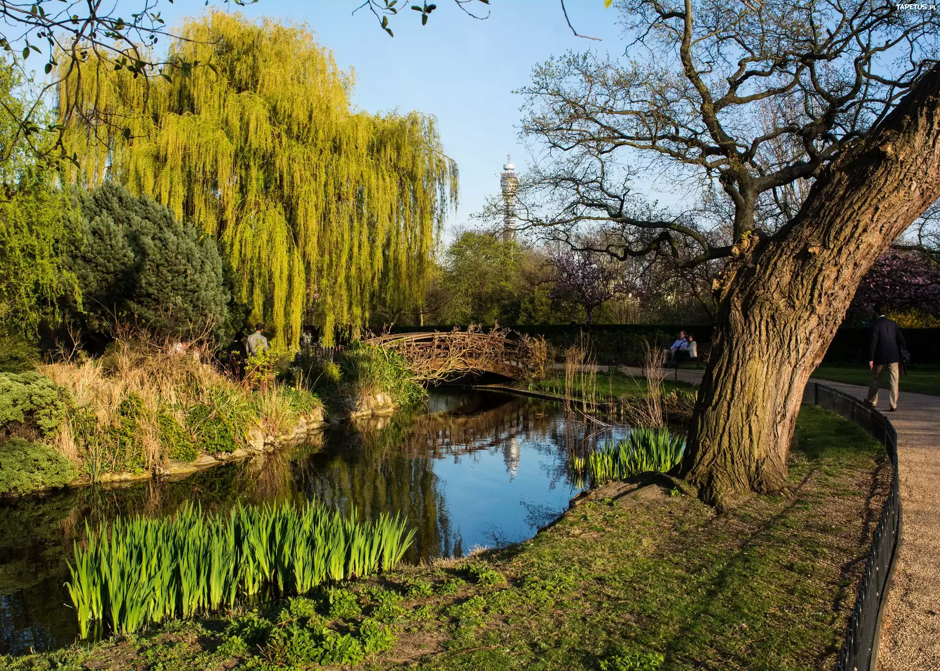 Park, Londyn, Wielka Brytania