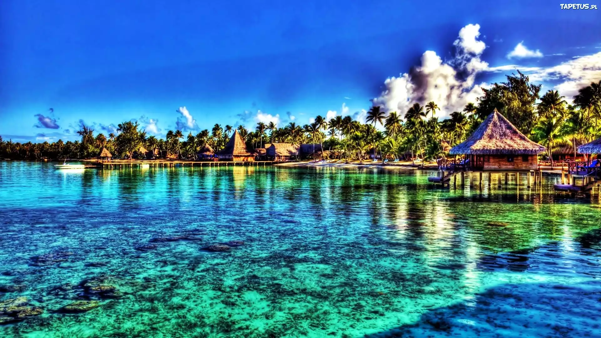 Morze, Wybrzeże, Domki, Palmy, Tahiti, HDR