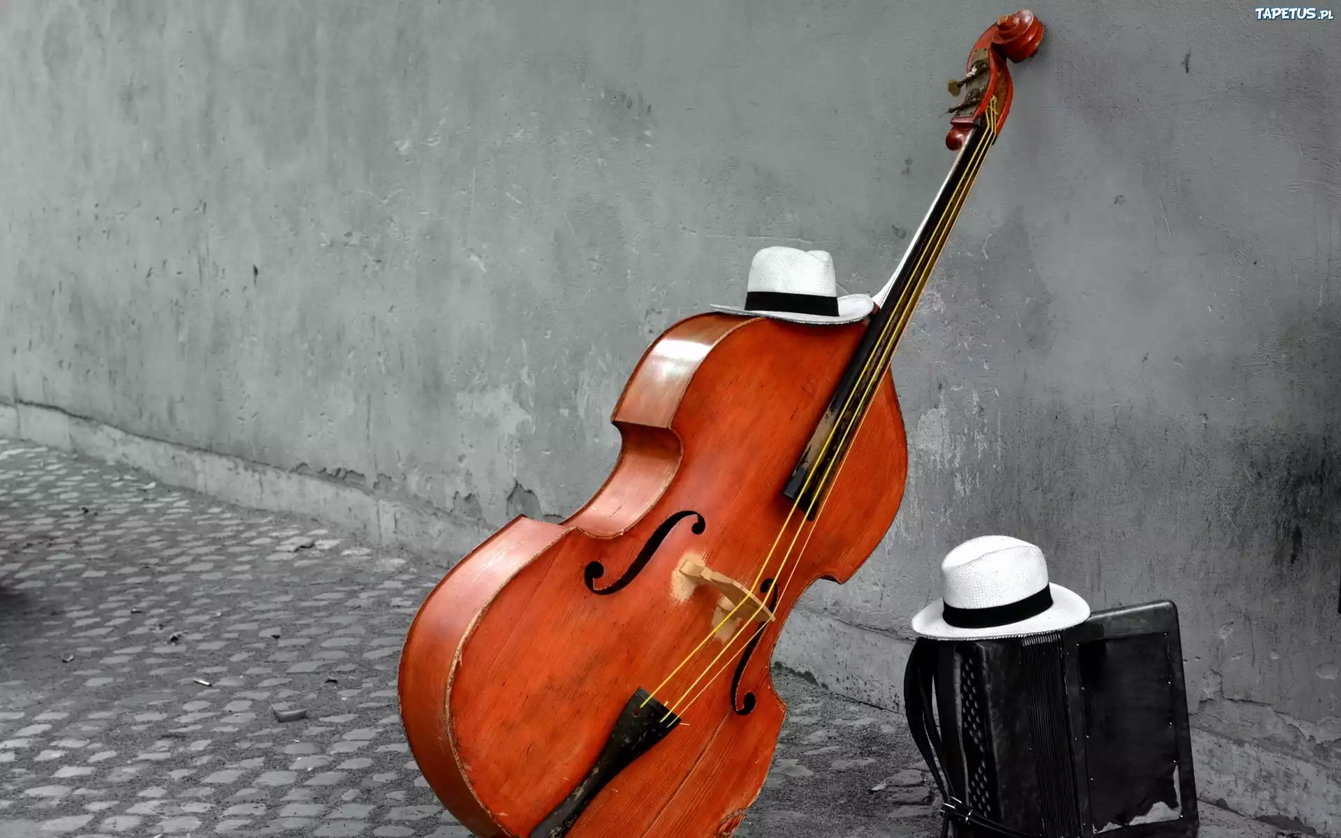 Instrument, Kontrabas, Akordeon, Kapelusze, Bruk