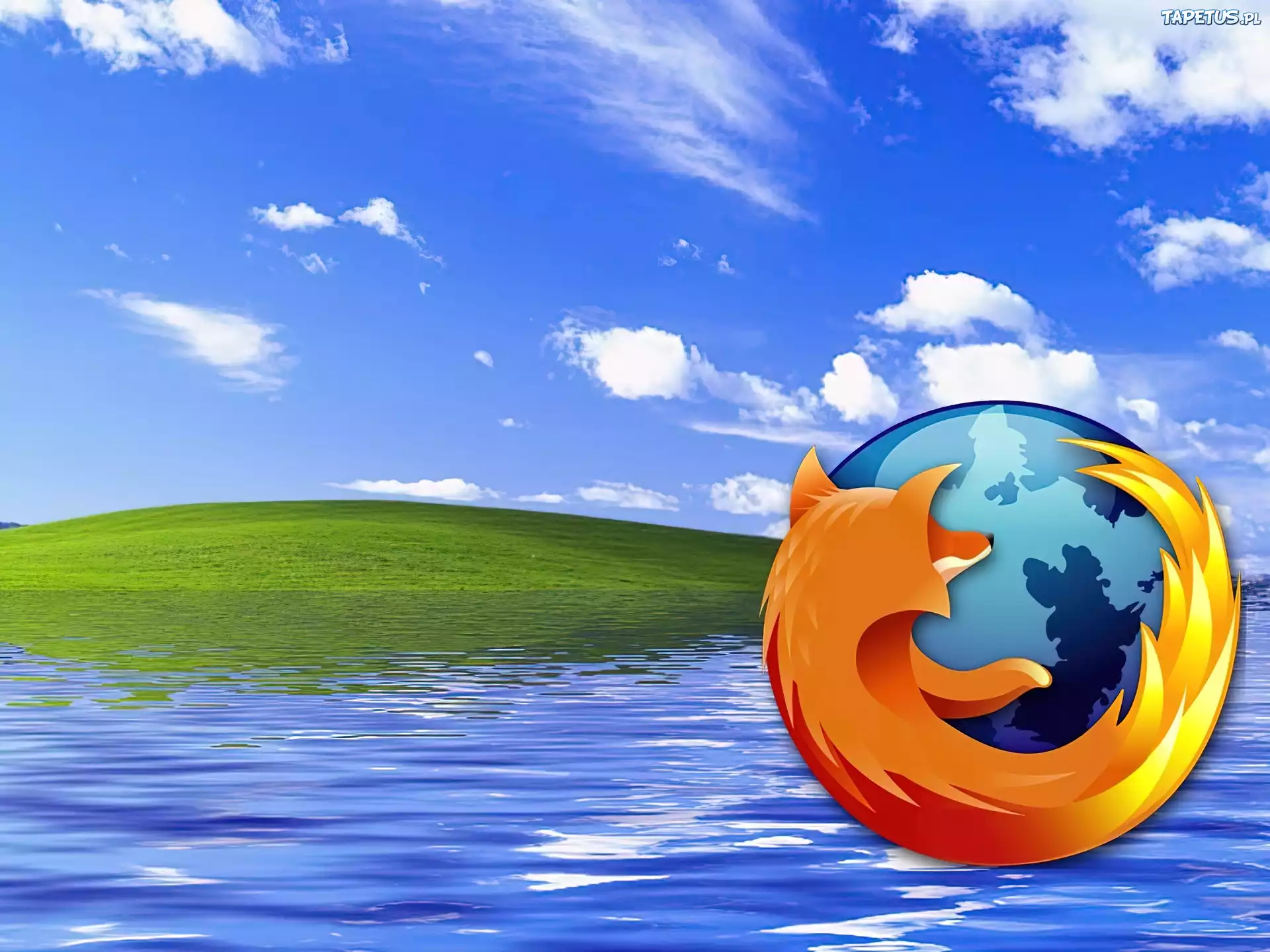 łąka, woda, chmury, niebo, lis, ziemia, FireFox
