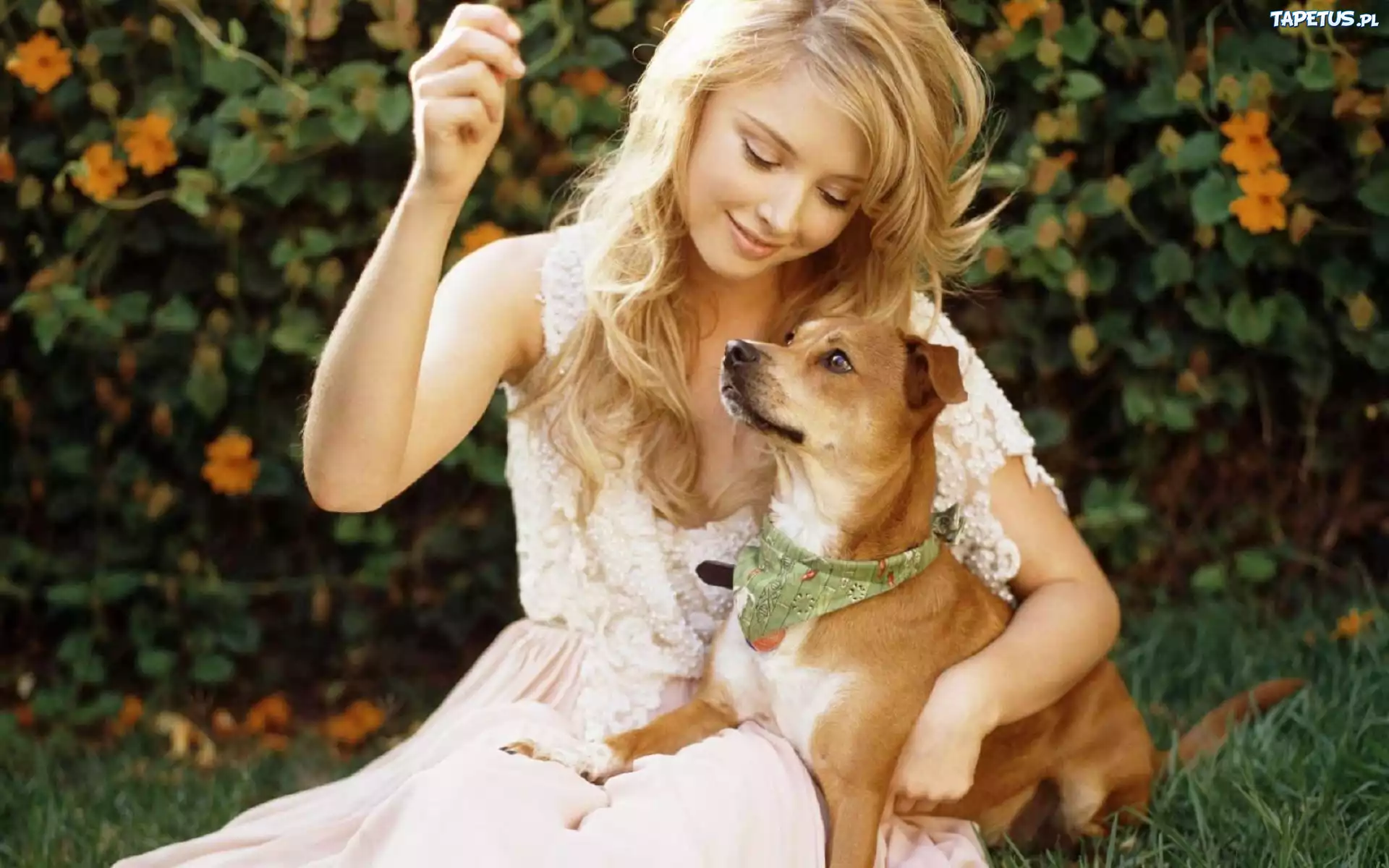 Elisabeth Harnois, Blondynka, Piesek